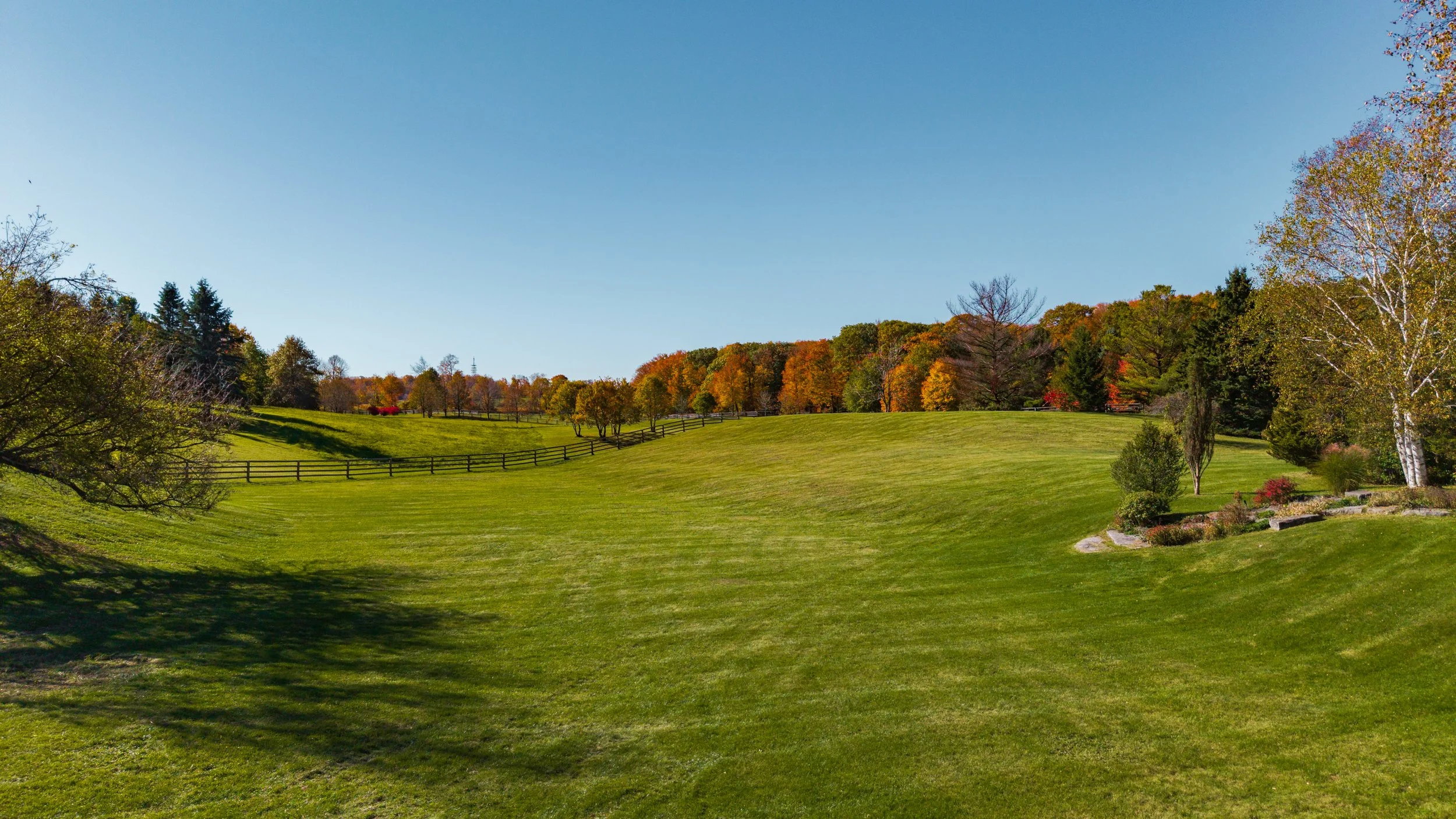 26- 983 19th Sideroad - King - Modern Movement Creative Inc - PHOTOG- Mitch Hubble - October 19, 2026.jpg