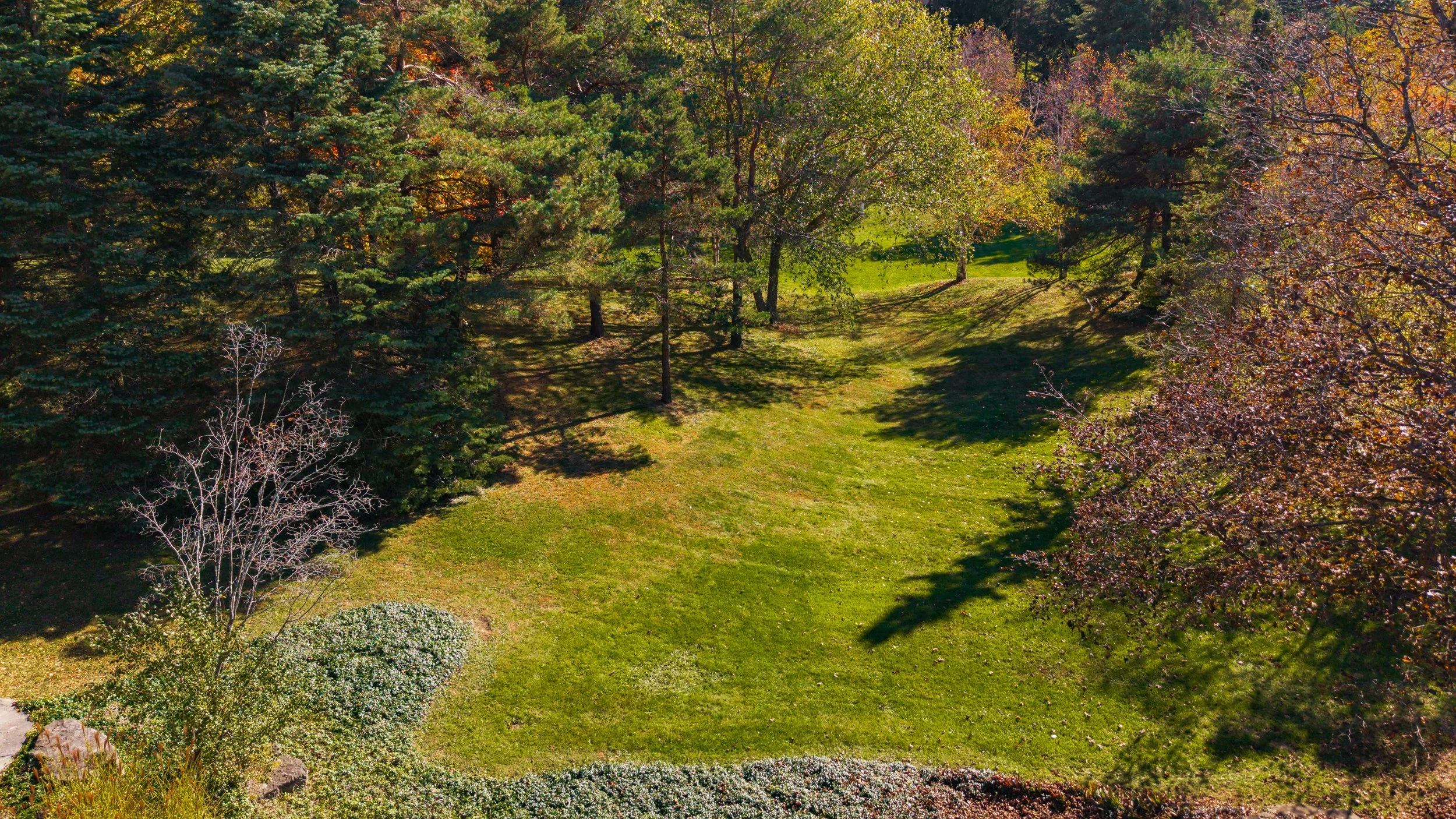 18- 983 19th Sideroad - King - Modern Movement Creative Inc - PHOTOG- Mitch Hubble - October 19, 2026.jpg