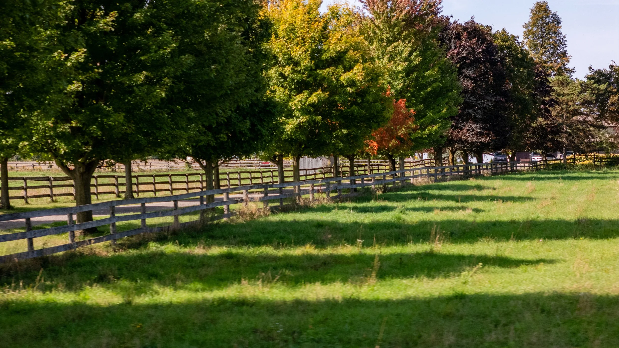 59- 8360 Concession Road - Uxbridge - Modern Movement Creative - PHOTO- Mitch Hubble -September 15, 2025.jpg