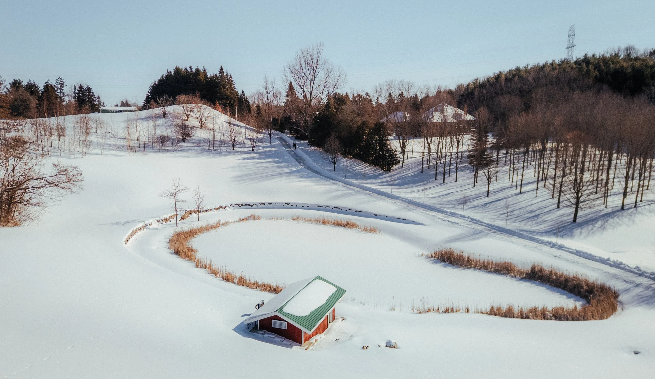 38- 13570 7TH Concession King - Carolyn Scime - Modern Movement Creative - PHOTO- Mitch Hubble -February 05, 2026.jpg