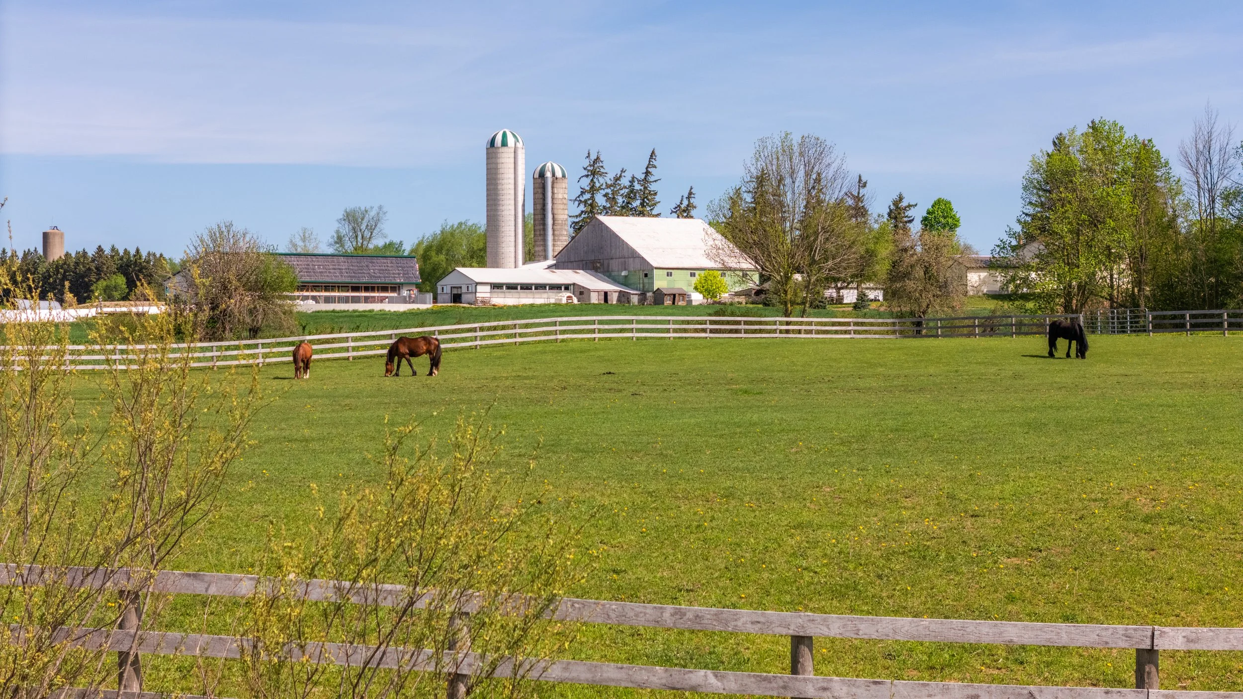 13-  7256 County Road 18 - Elora - Modern Movement Creative Inc - PHOTOG- Mitch Hubble - May 20, 2026.jpg