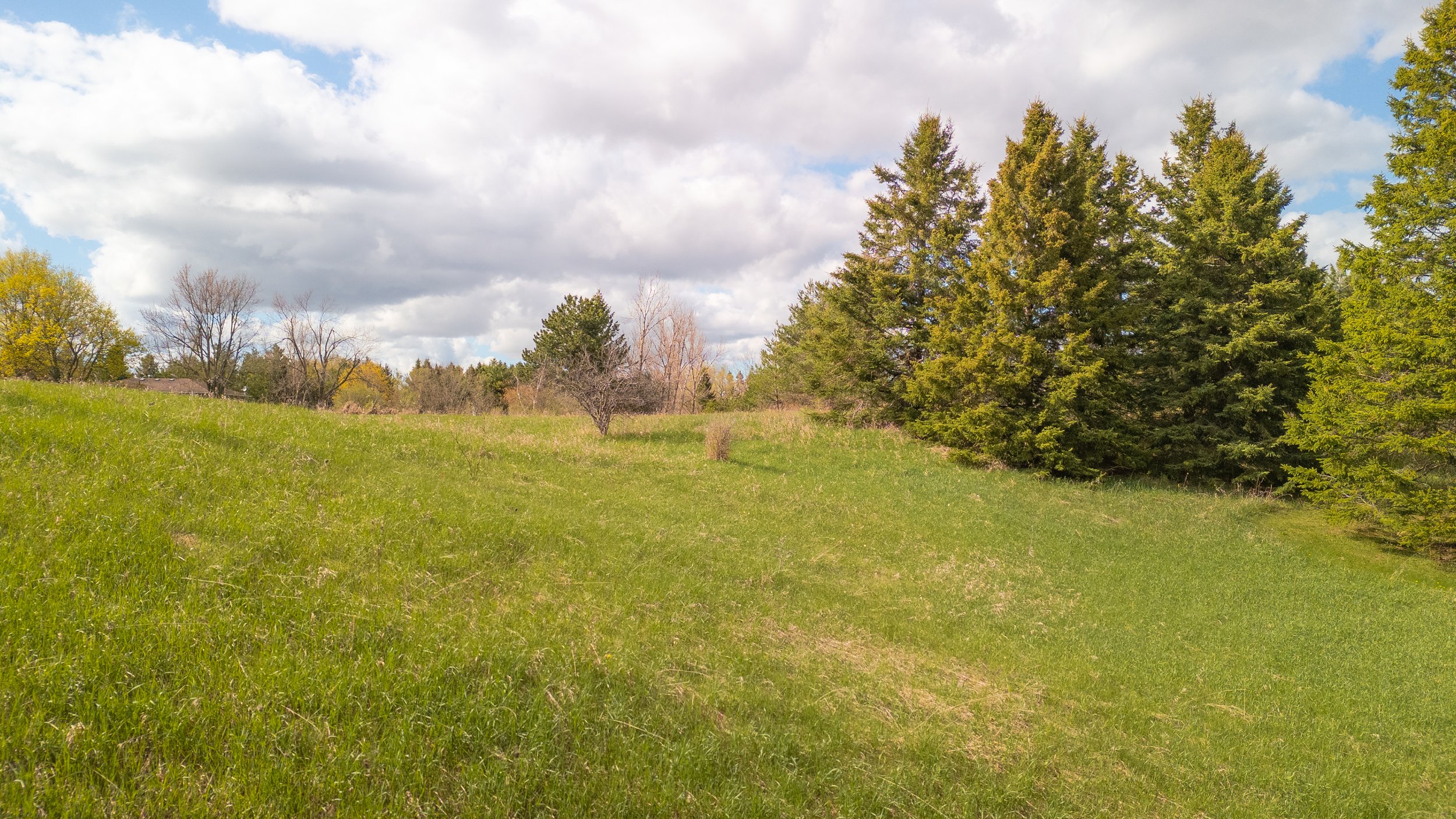 16- 286364 10th Sideroad - Mono - Modern Movement Creative Inc - PHOTOG- Mitch Hubble - May 12, 2026.jpg