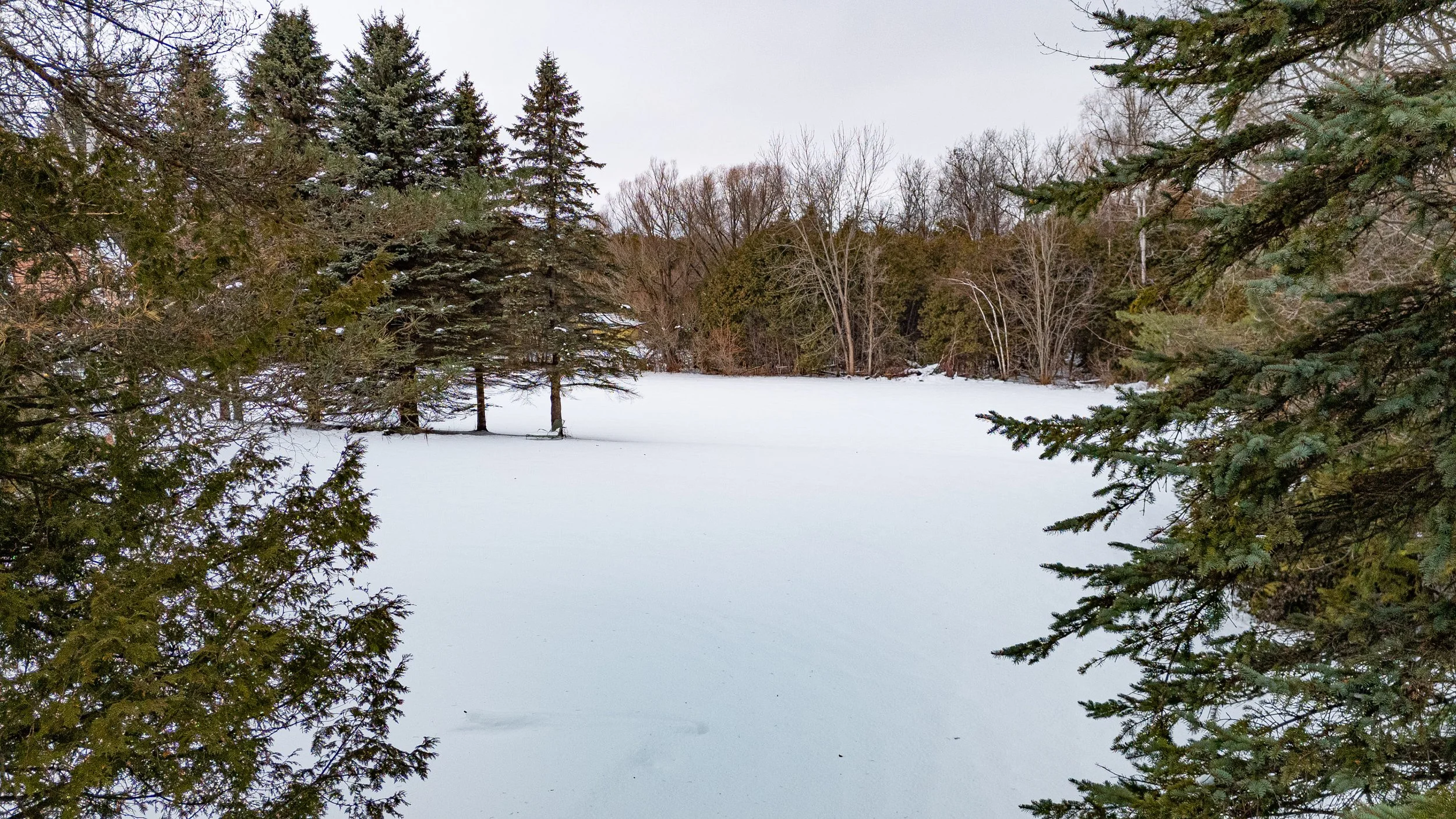 44- 21455 Warden Ave - East Gwillimbury - Modern Copyright- Movement Creative Inc - PHOTOG- Mitch Hubble - December 18, 2025.jpg