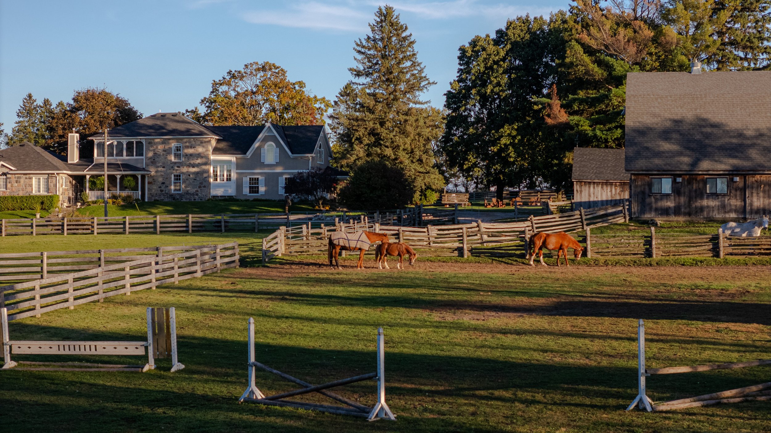 100- 5228 First Line - Erin - Modern Movement Creative - PHOTO- Mitch Hubble -October 15, 2025_.jpg