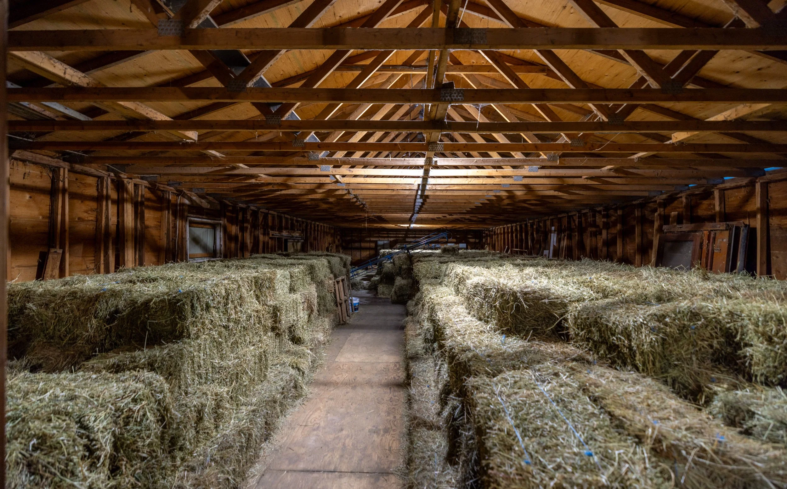 48- 8360 Concession Road - Uxbridge - Modern Movement Creative - PHOTO- Mitch Hubble -September 15, 2025.jpg