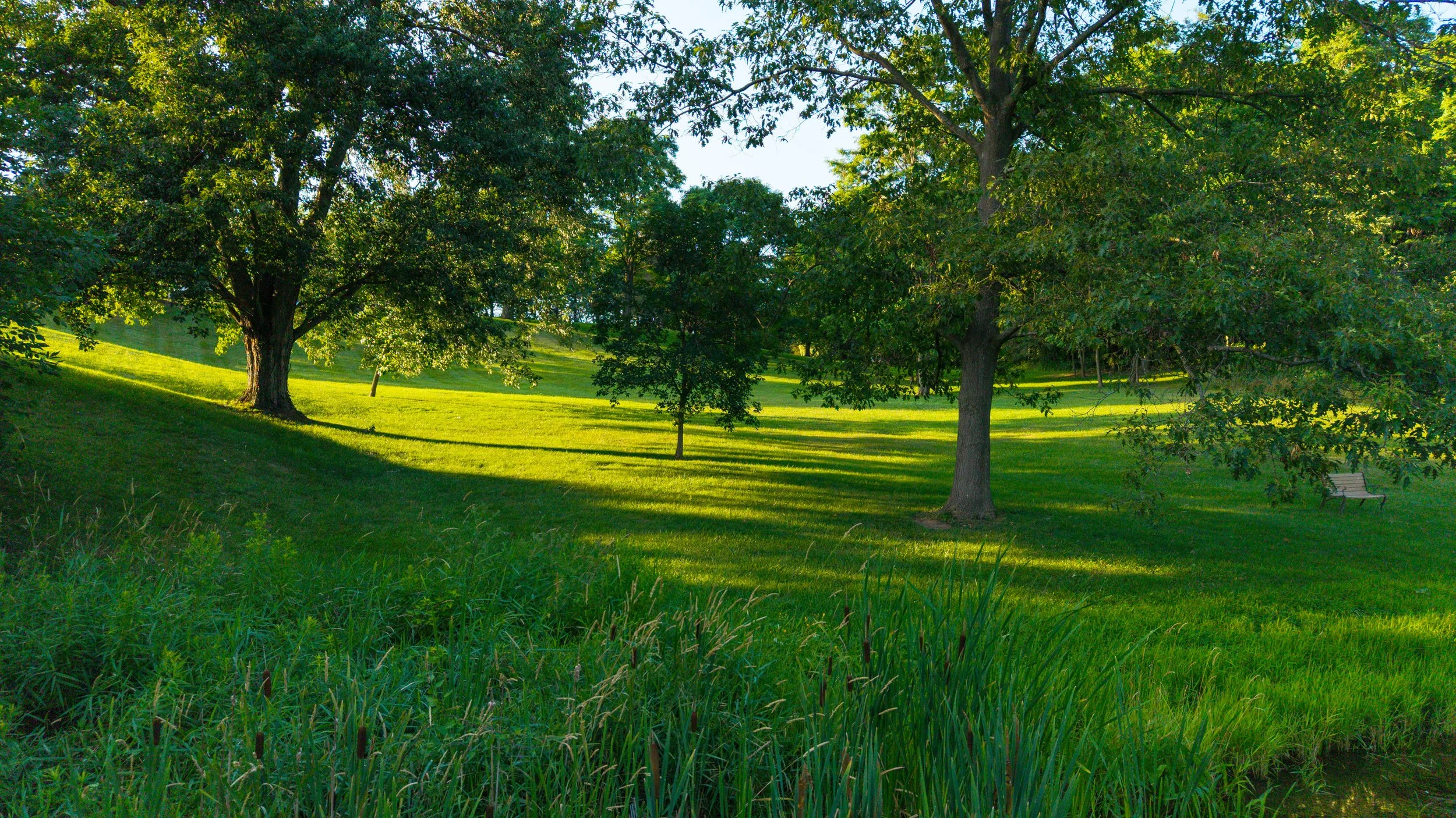 147- 4825 15th Sideroad - King - Modern Movement Creative Inc - PHOTOG- Mitch Hubble - July 22, 2026.jpg
