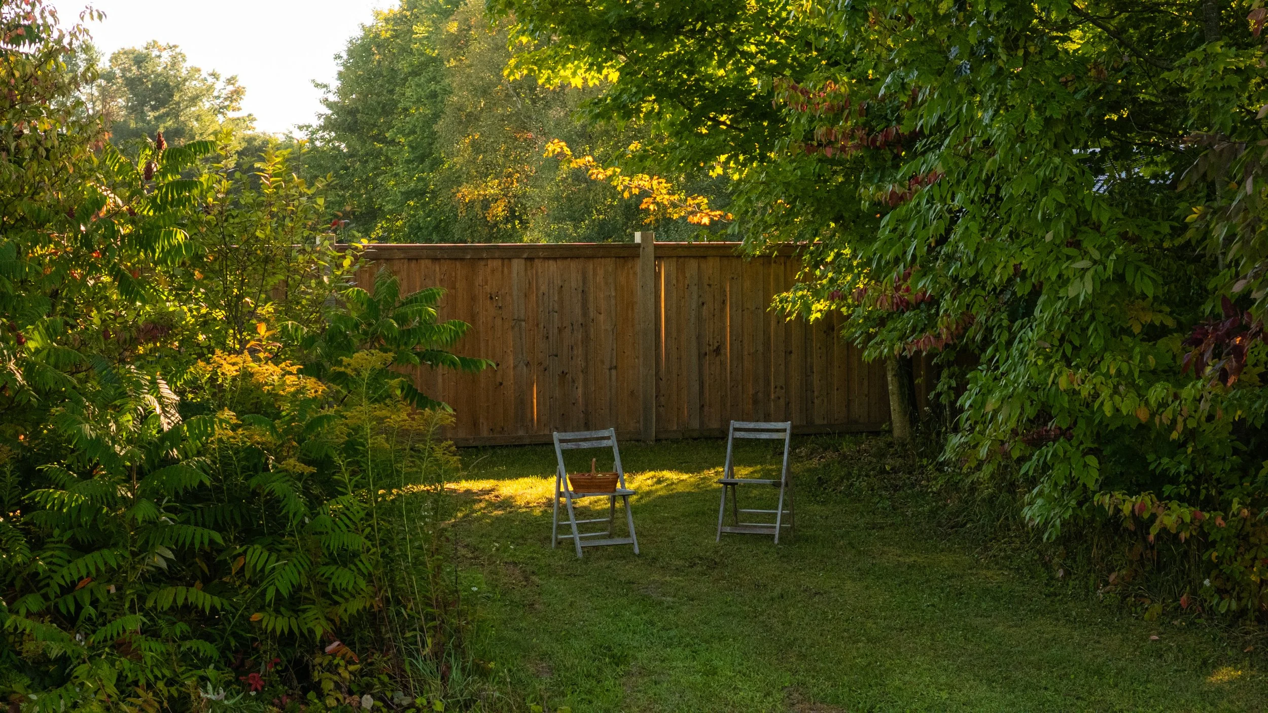 58- 1052 Rainbow Valley Road - Springwater - Modern Movement Creative - PHOTO- Mitch Hubble -September 16, 2025.jpg