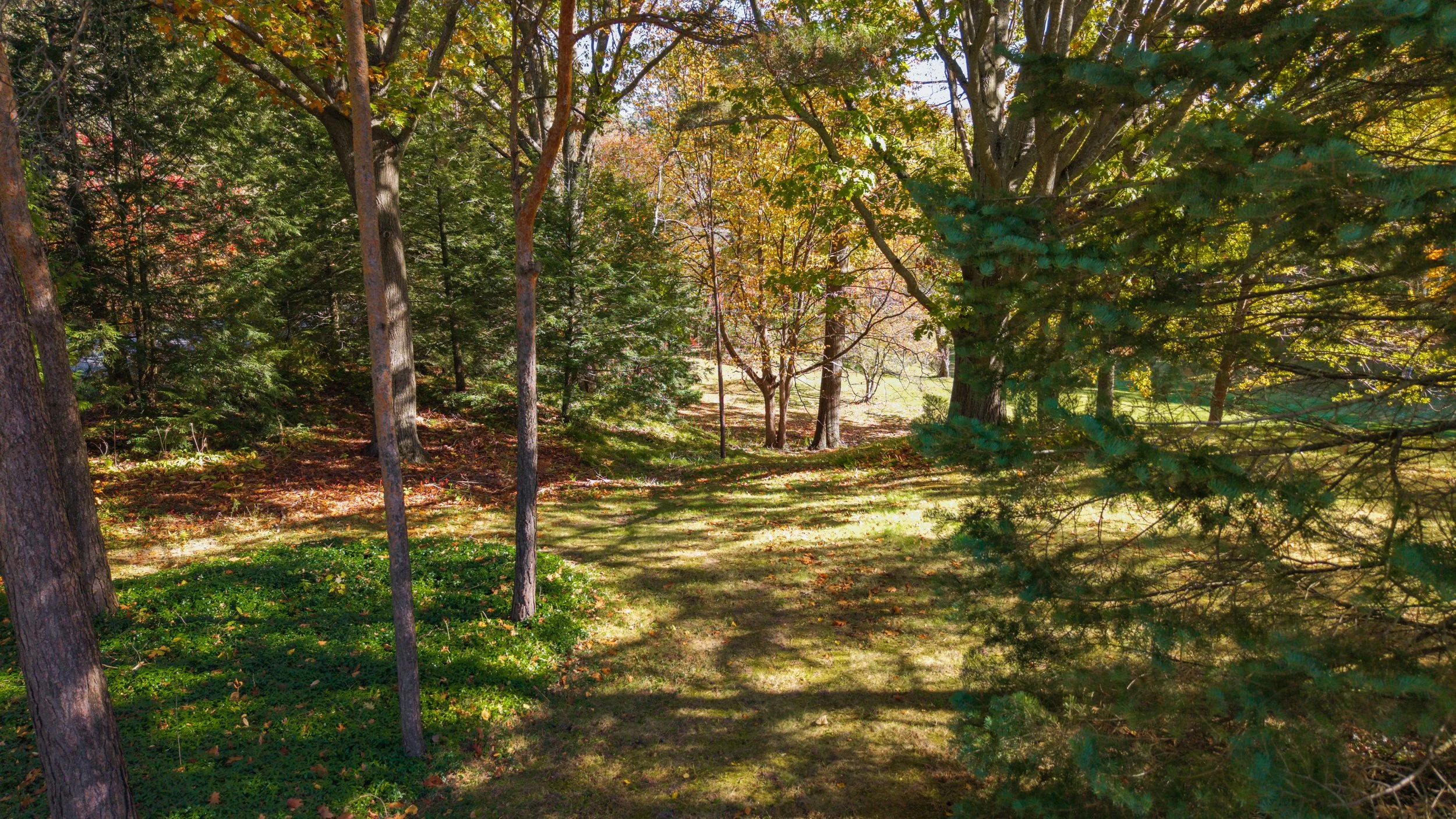 45- 983 19th Sideroad - King - Modern Movement Creative Inc - PHOTOG- Mitch Hubble - October 19, 2026.jpg