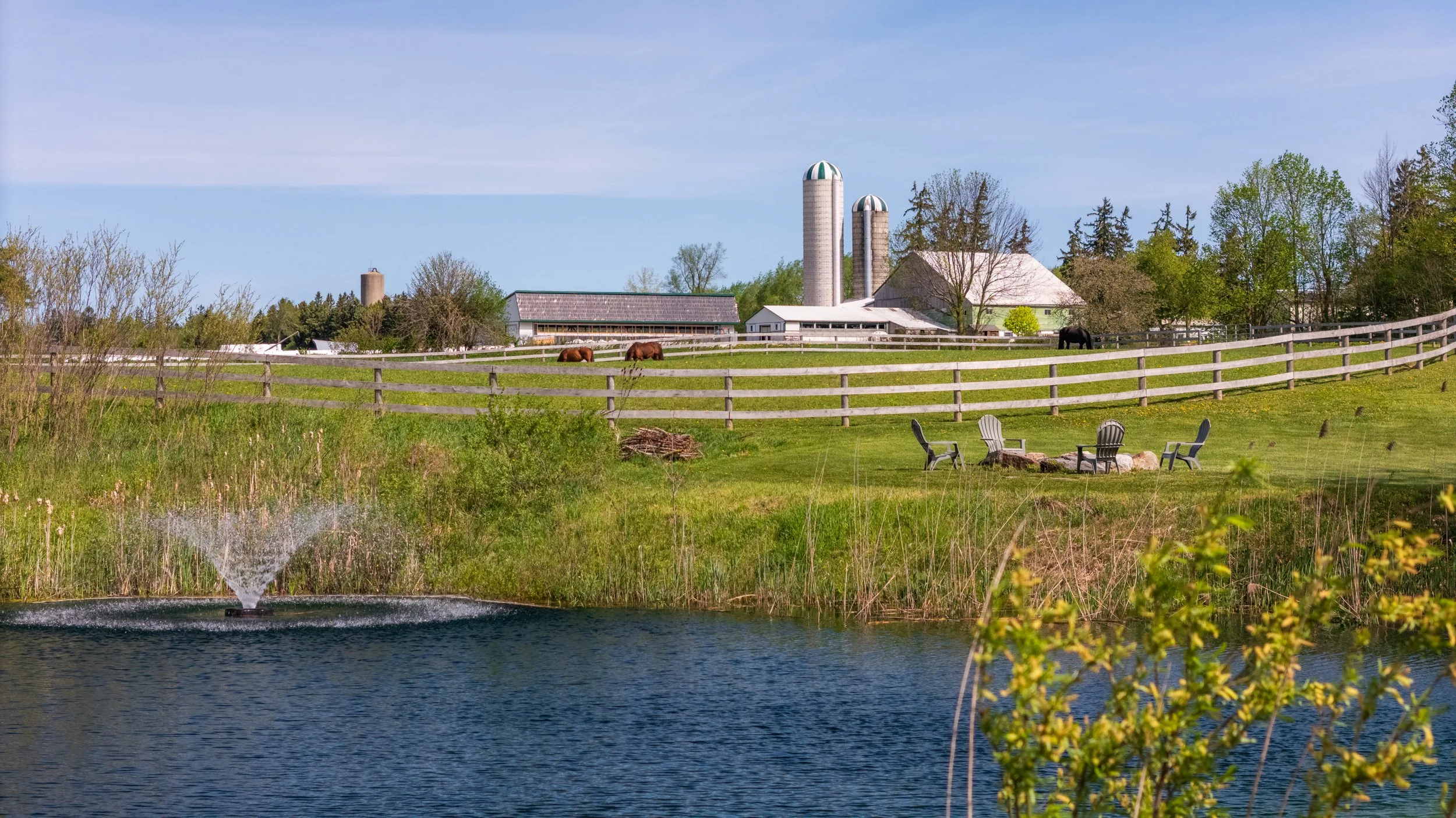 11-  7256 County Road 18 - Elora - Modern Movement Creative Inc - PHOTOG- Mitch Hubble - May 20, 2026.jpg