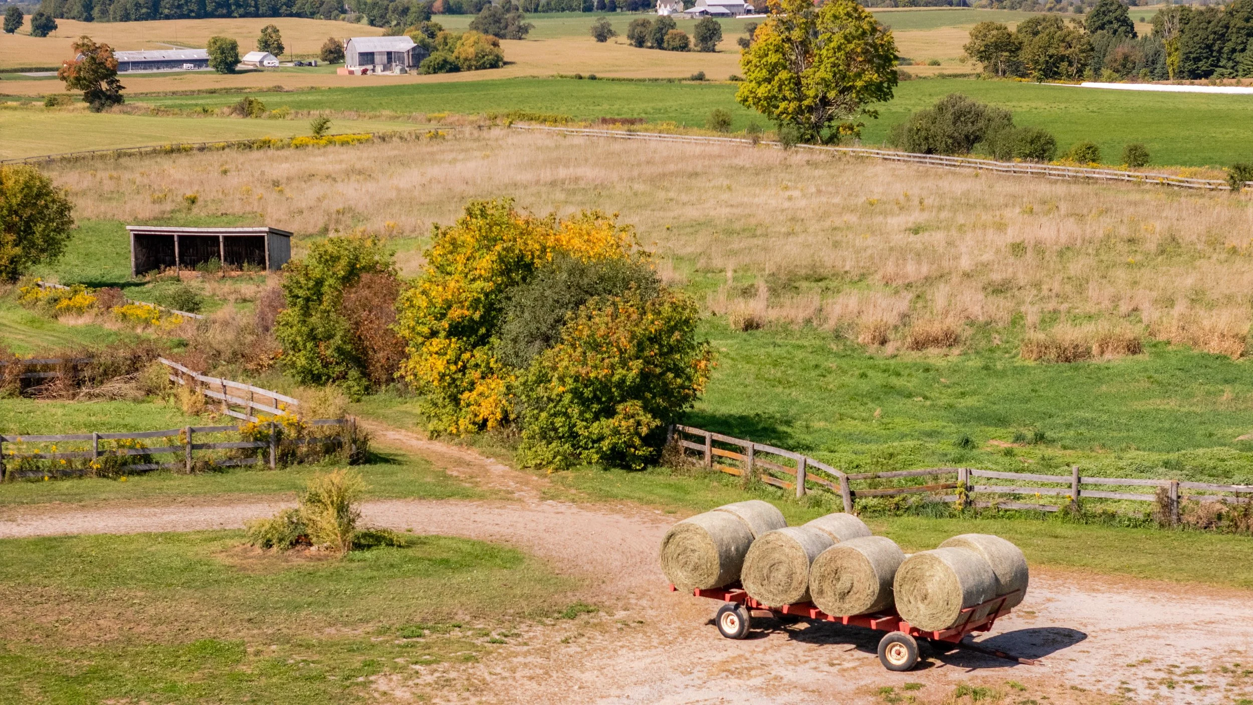 103- 8360 Concession Road - Uxbridge - Modern Movement Creative - PHOTO- Mitch Hubble -September 15, 2025.jpg
