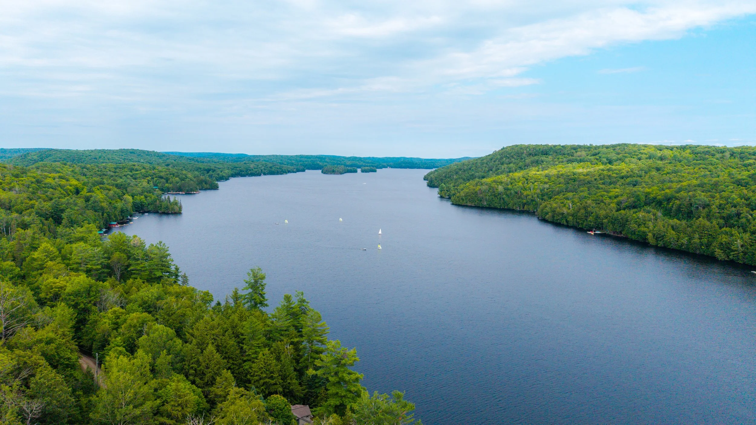 56- 158 Ponacka - Muskoka - Modern Movement Creative Inc - PHOTOG- Mitch Hubble - July 20, 2026.jpg