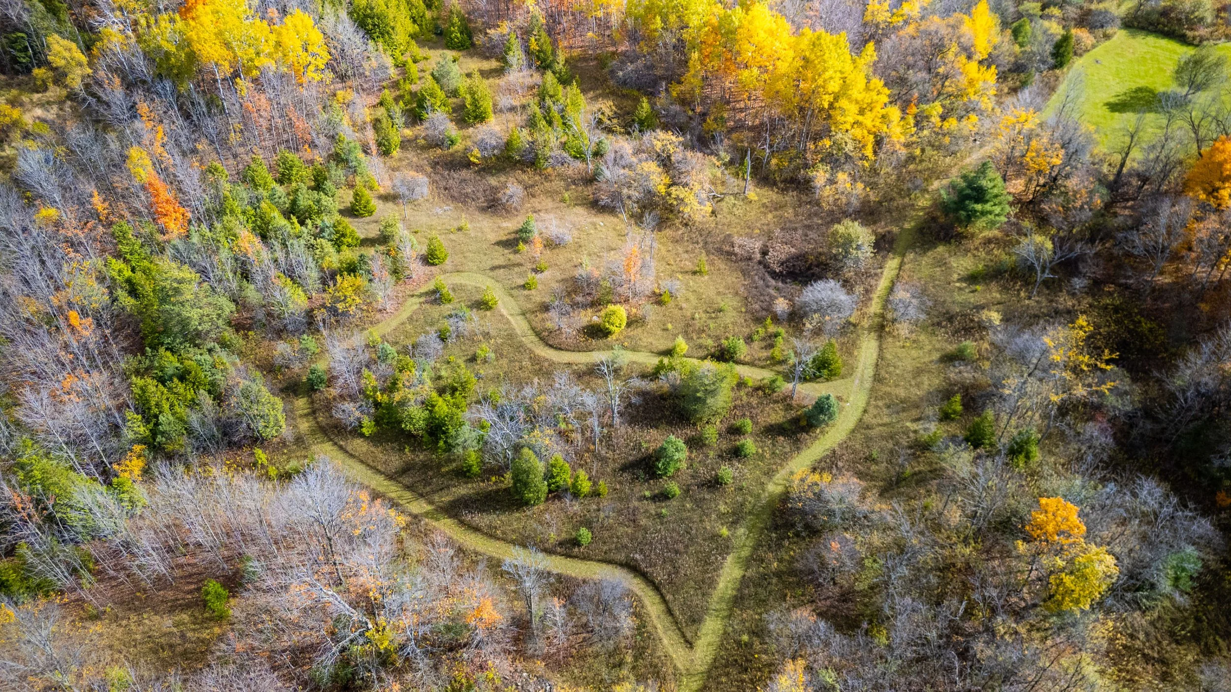 90- 5241 10th Line - Erin - PHOTO- Mitch Hubble -October 25, 2025_.jpg