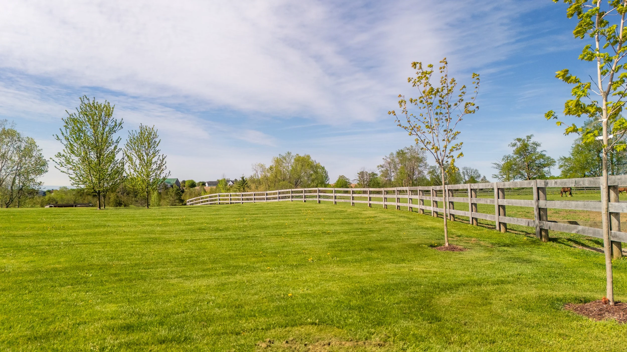 30-  7256 County Road 18 - Elora - Modern Movement Creative Inc - PHOTOG- Mitch Hubble - May 20, 2026.jpg