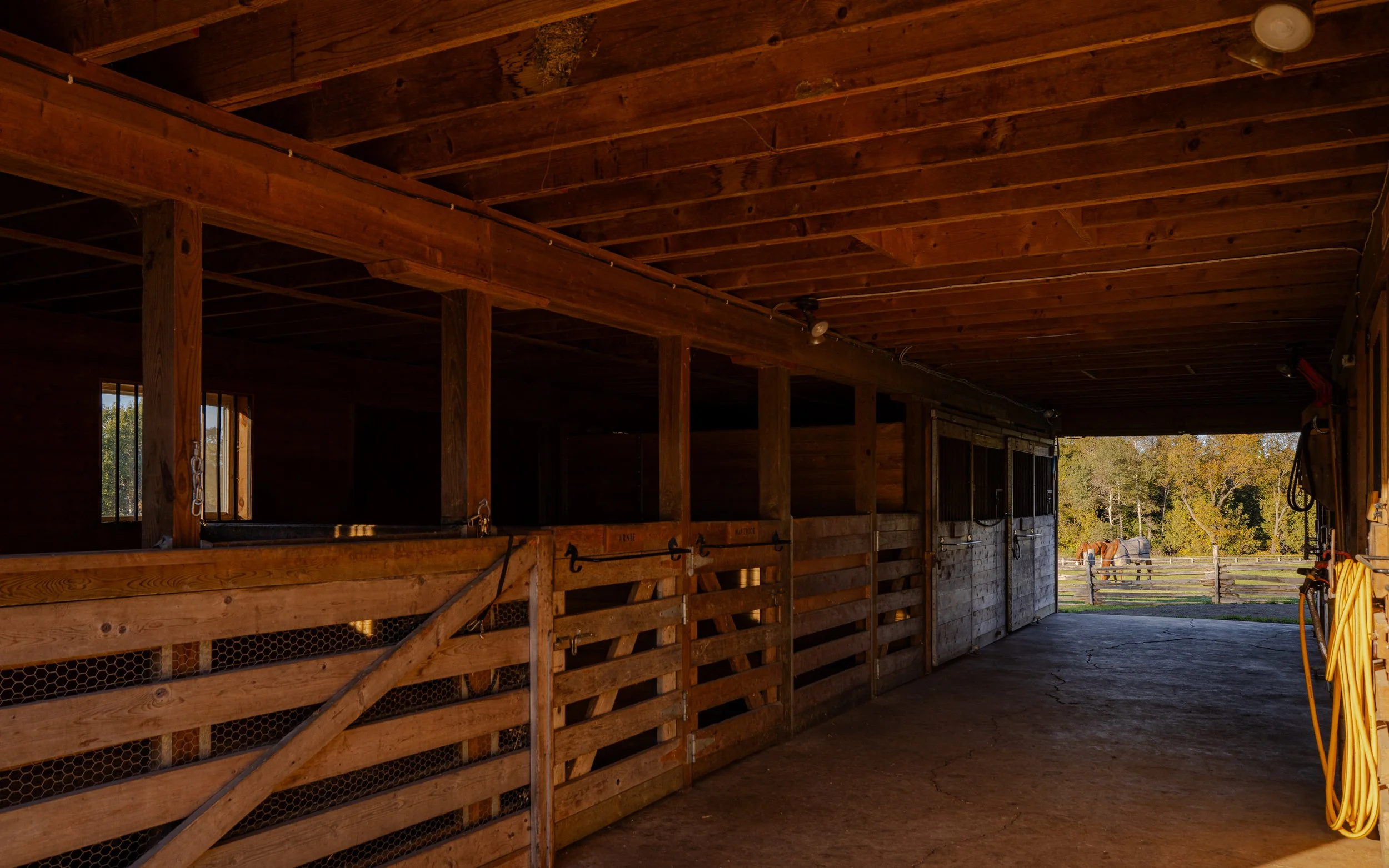 16- 5228 First Line - Erin - Modern Movement Creative - PHOTO- Mitch Hubble -October 14, 2025_.jpg