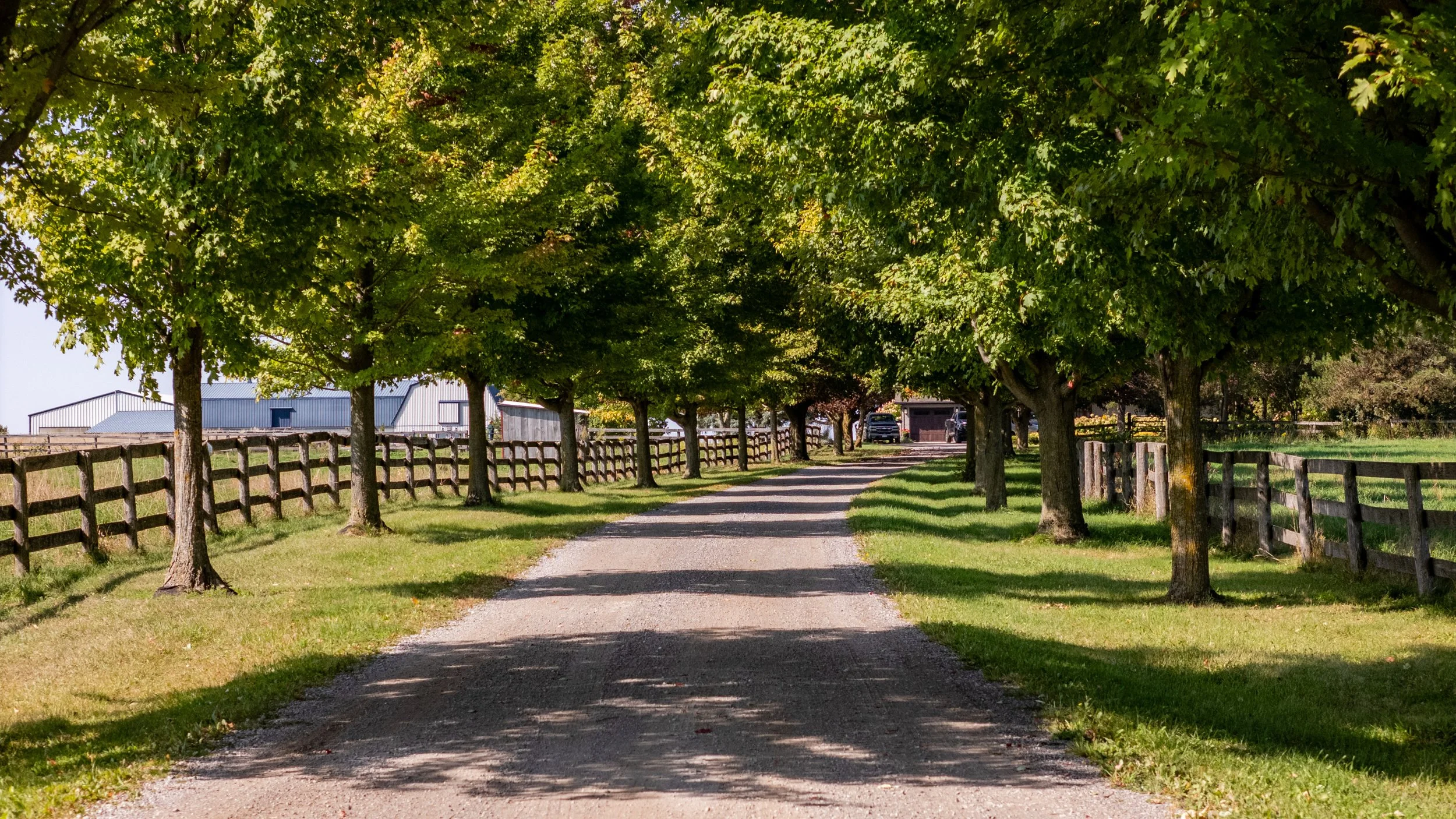 58- 8360 Concession Road - Uxbridge - Modern Movement Creative - PHOTO- Mitch Hubble -September 15, 2025.jpg