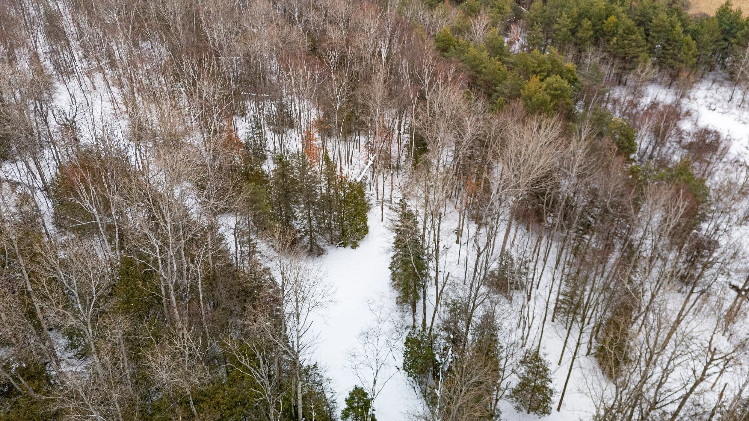 33- 21455 Warden Ave - East Gwillimbury - Modern Copyright- Movement Creative Inc - PHOTOG- Mitch Hubble - December 18, 2025.jpg