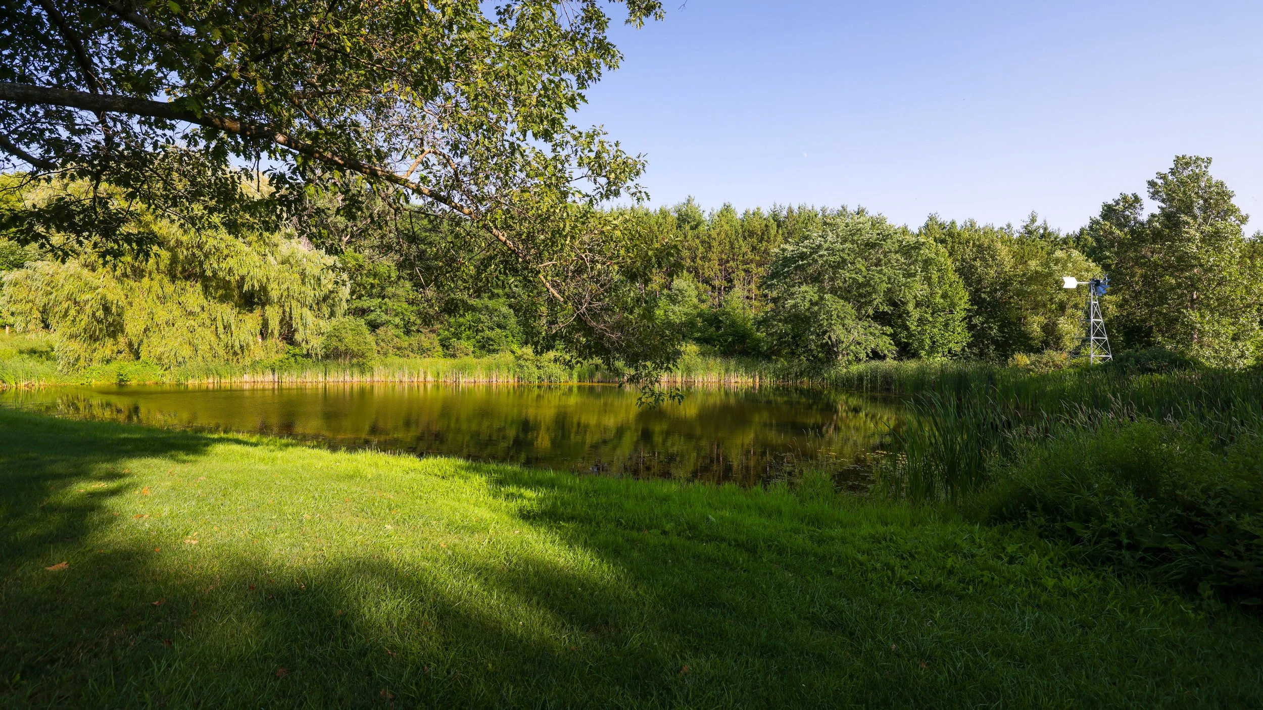 72- 4825 15th Sideroad - King - Modern Movement Creative Inc - PHOTOG- Mitch Hubble - July 22, 2026.jpg