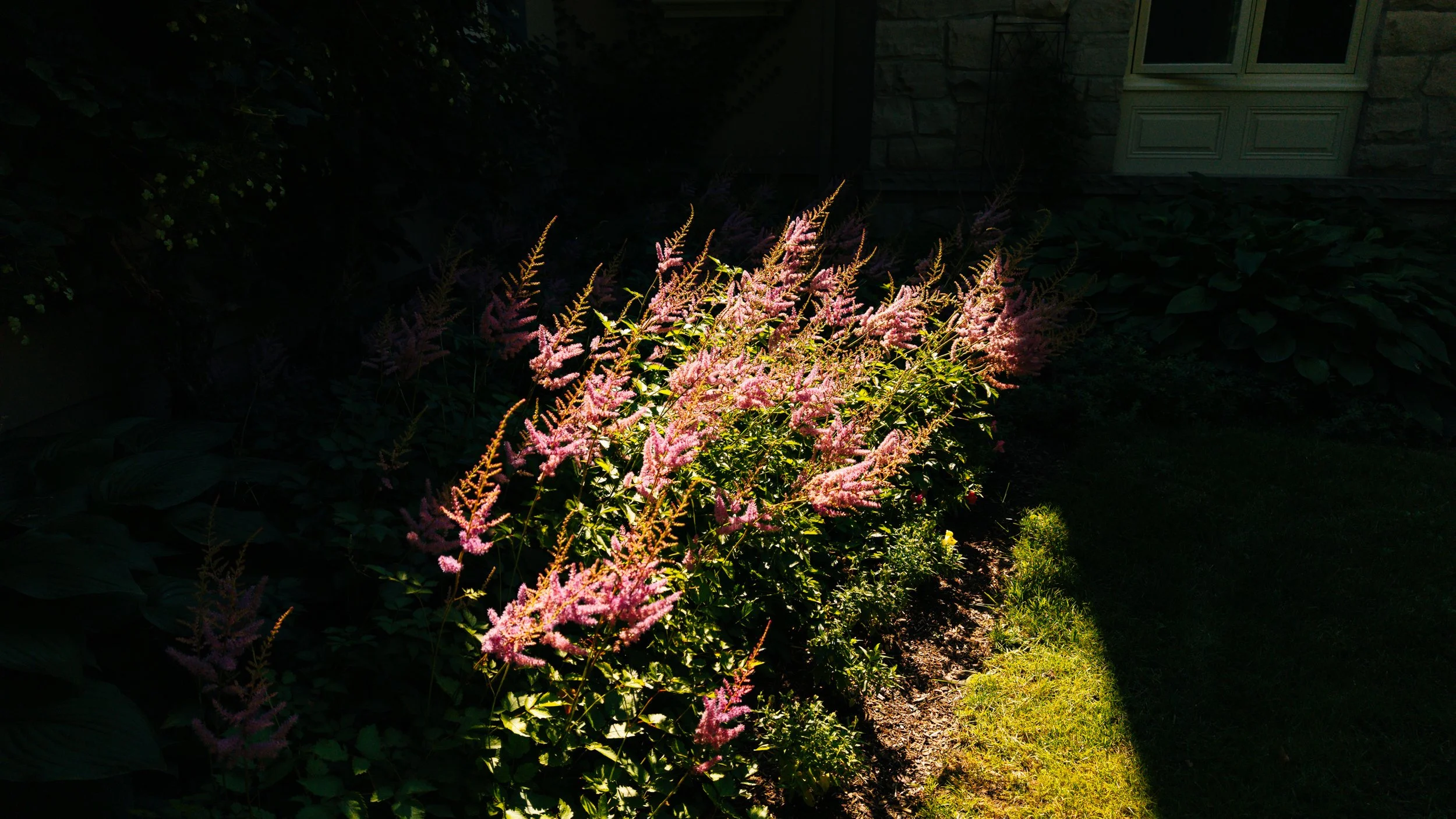 37- 5241 10th Line - Erin  - Modern Movement Creative Inc - PHOTOG- Mitch Hubble - August 06, 2026.jpg