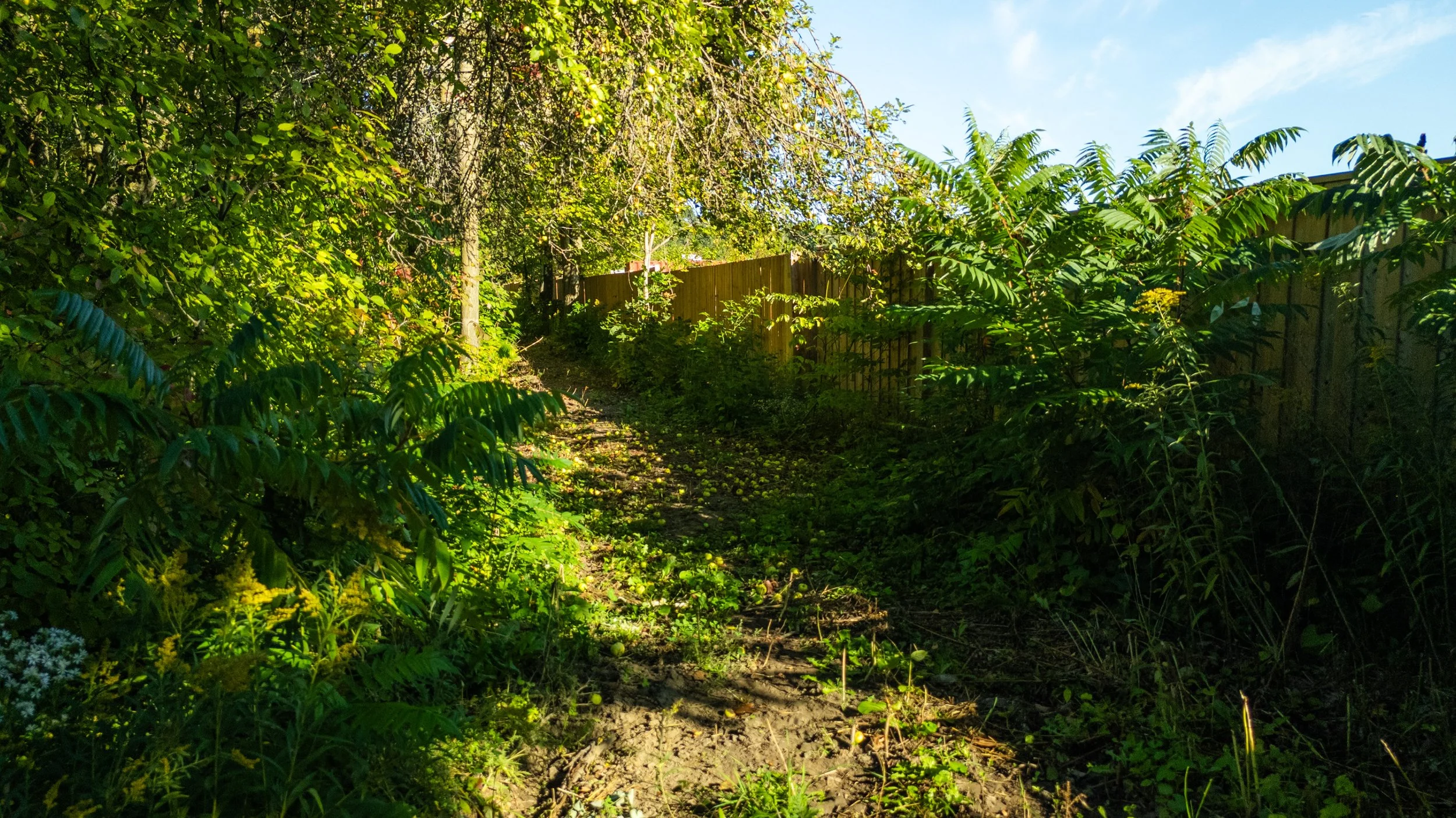 59- 1052 Rainbow Valley Road - Springwater - Modern Movement Creative - PHOTO- Mitch Hubble -September 16, 2025.jpg