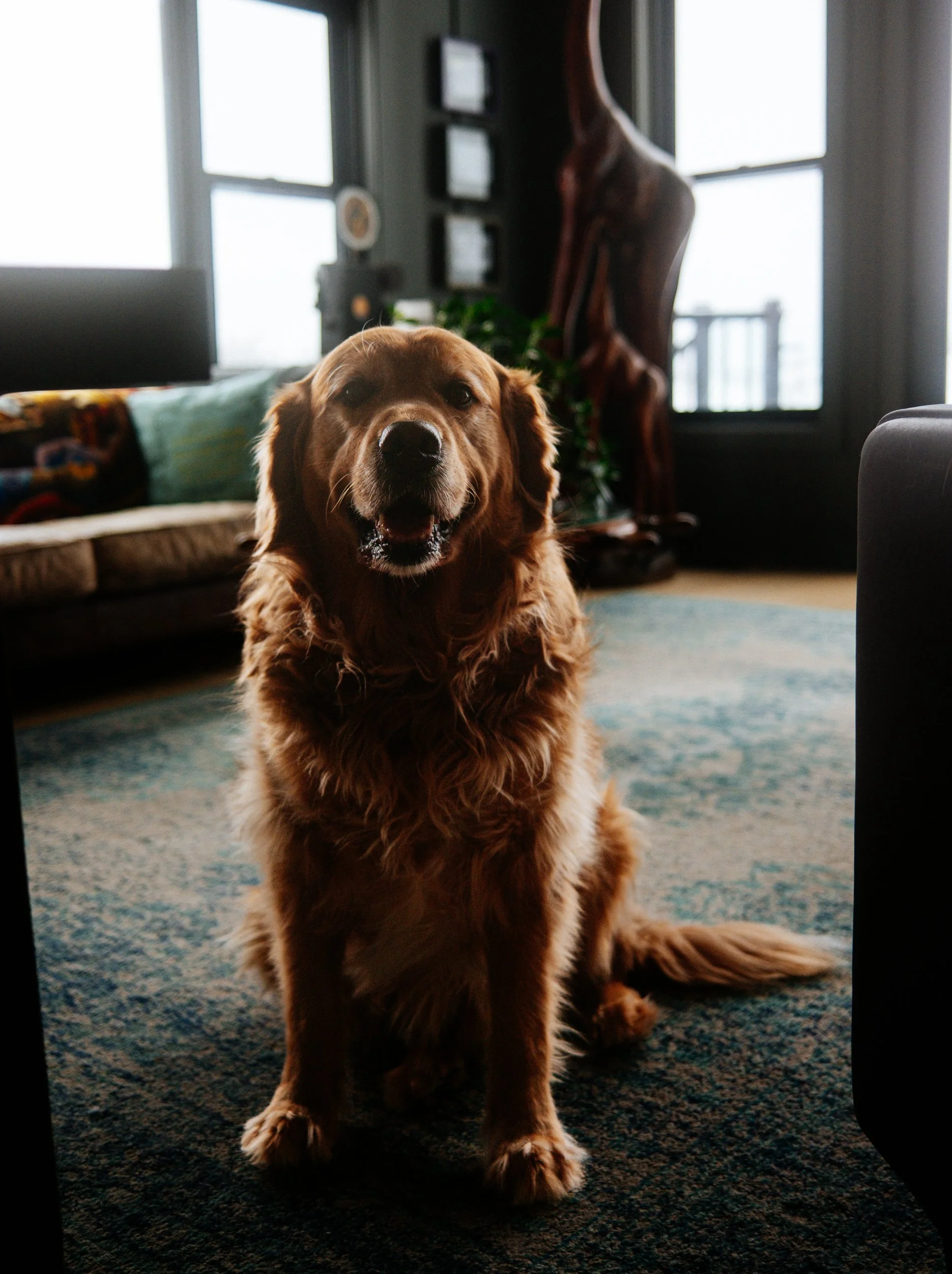 33- 678500 Center Road - Mulmur - Carolyn Scime - Modern Movement Creative - PHOTO- Mitch Hubble -February 11, 2026.jpg