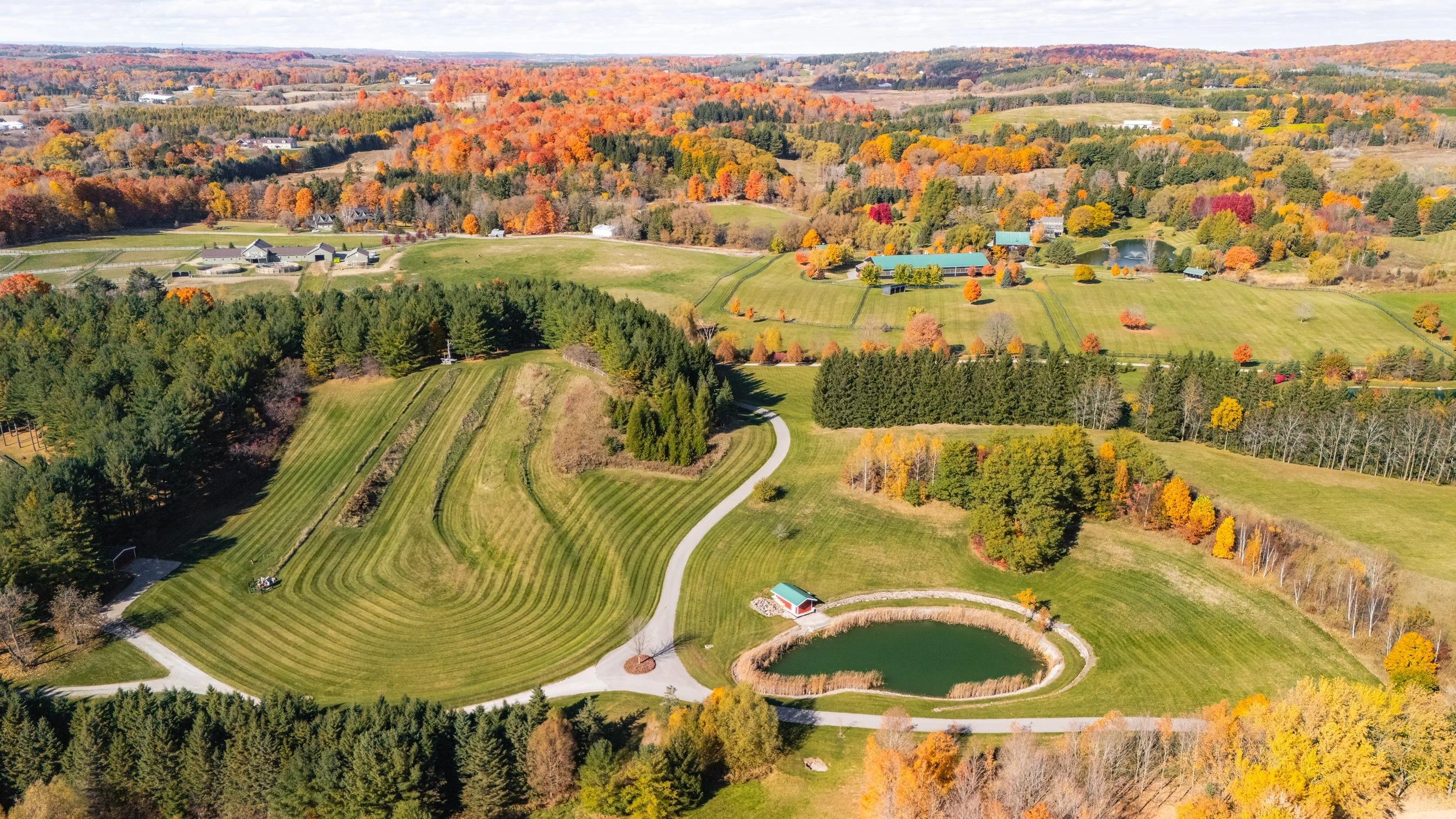 131- 13570 Concession Road - King  - Modern Movement Creative Inc - PHOTOG- Mitch Hubble - October 24, 2024.jpg