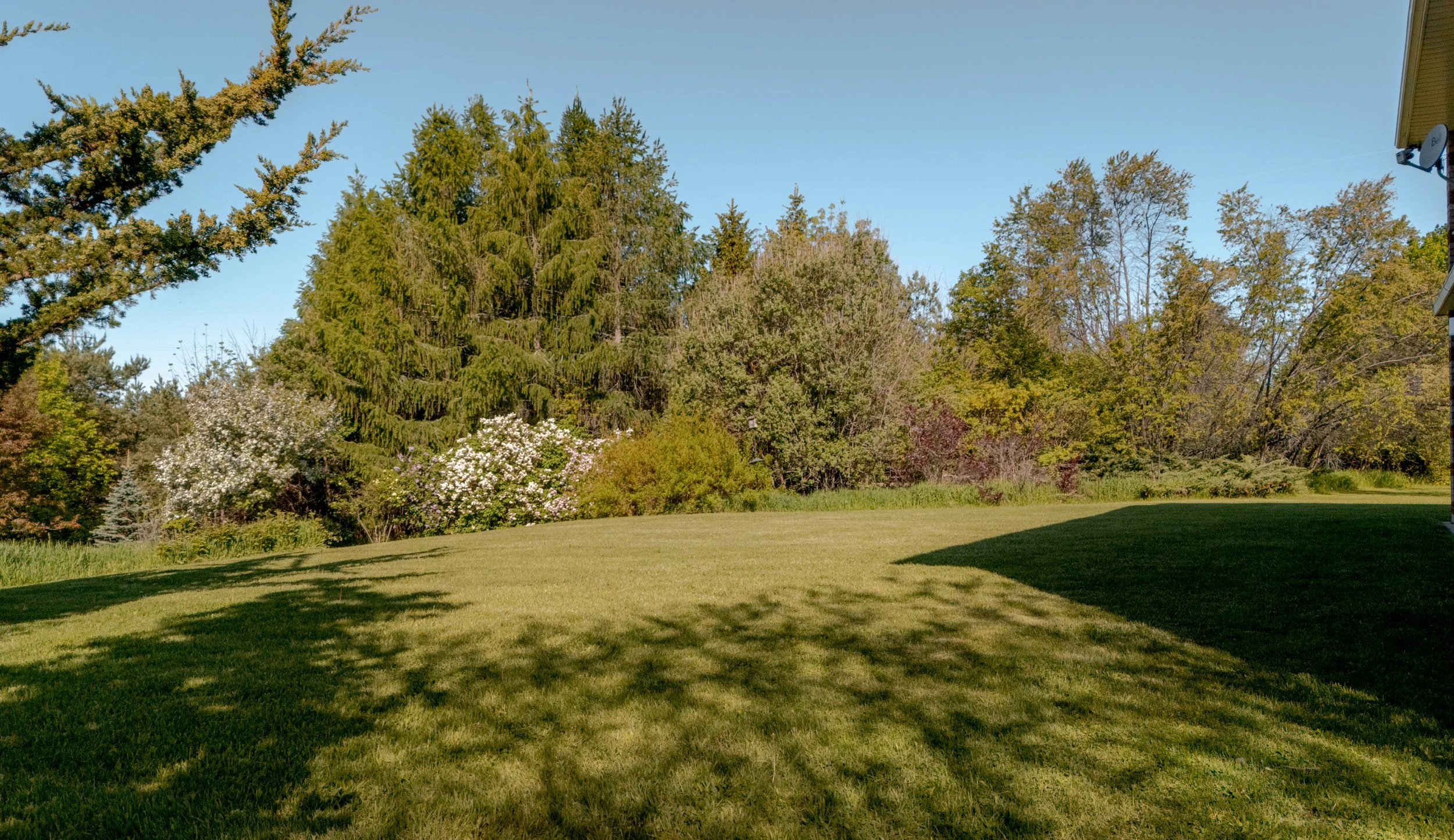 45- 955409 7TH CONCESSION - Modern Movement Creative Inc - PHOTOG- Mitch Hubble - May 29, 2026.jpg