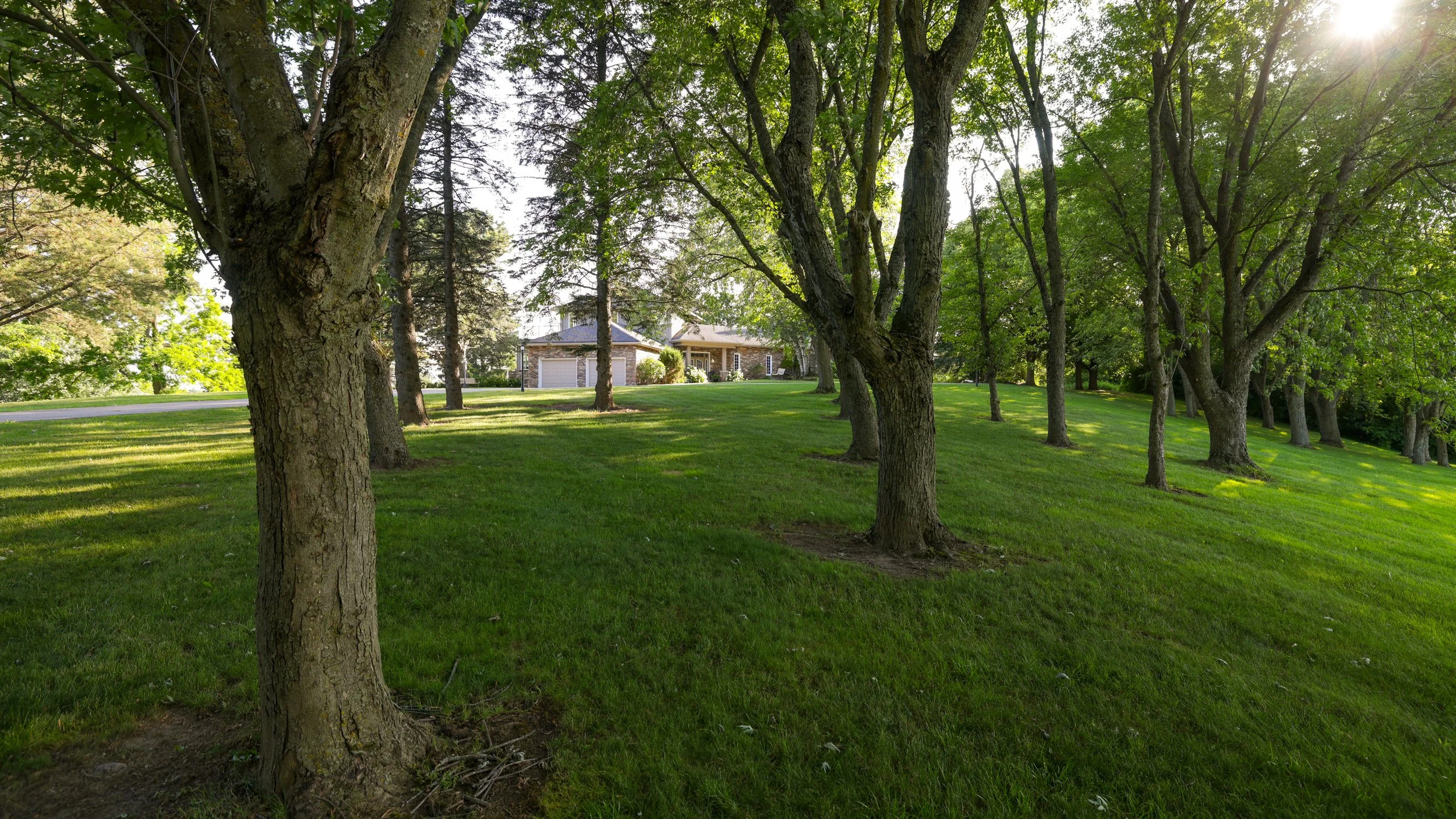 85- 4825 15th Sideroad - King - Modern Movement Creative Inc - PHOTOG- Mitch Hubble - July 22, 2026.jpg
