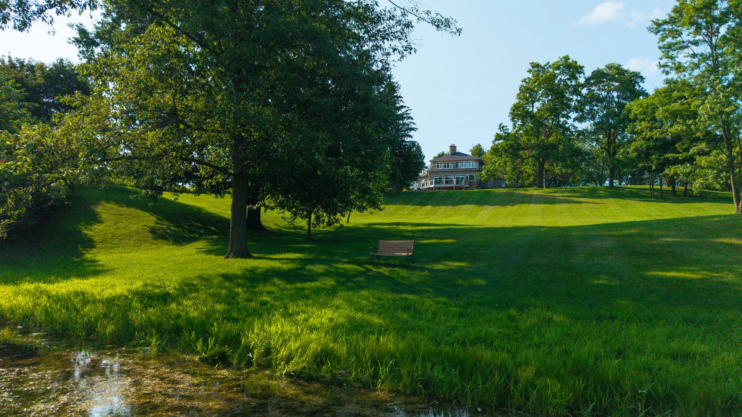 93- 4825 15th Sideroad - King - Modern Movement Creative Inc - PHOTOG- Mitch Hubble - July 22, 2026.jpg