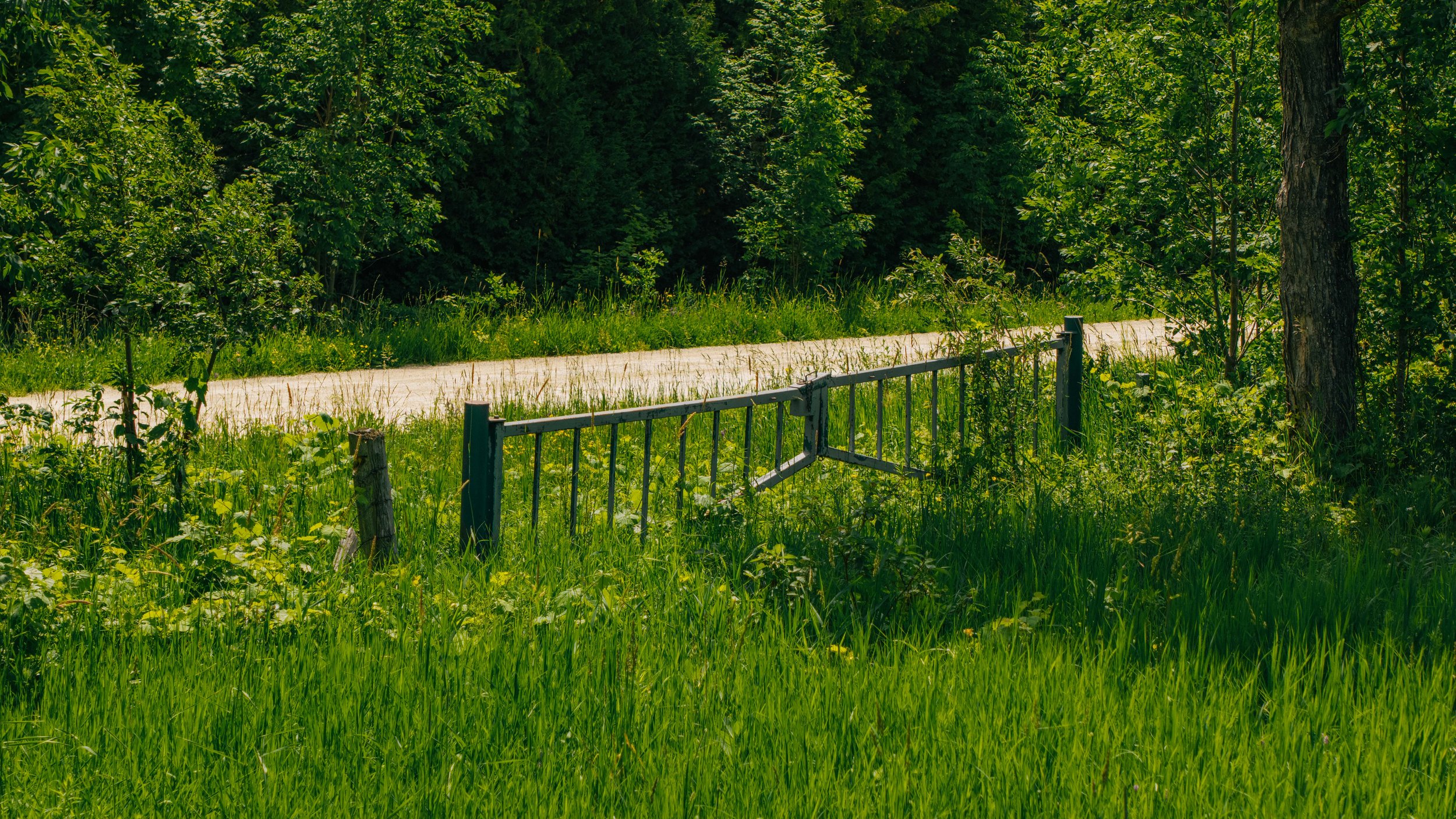 64- 2726 Concession 10 - Glen Huron - Modern Movement Creative Inc - PHOTOG- Mitch Hubble - July 01, 2026.jpg