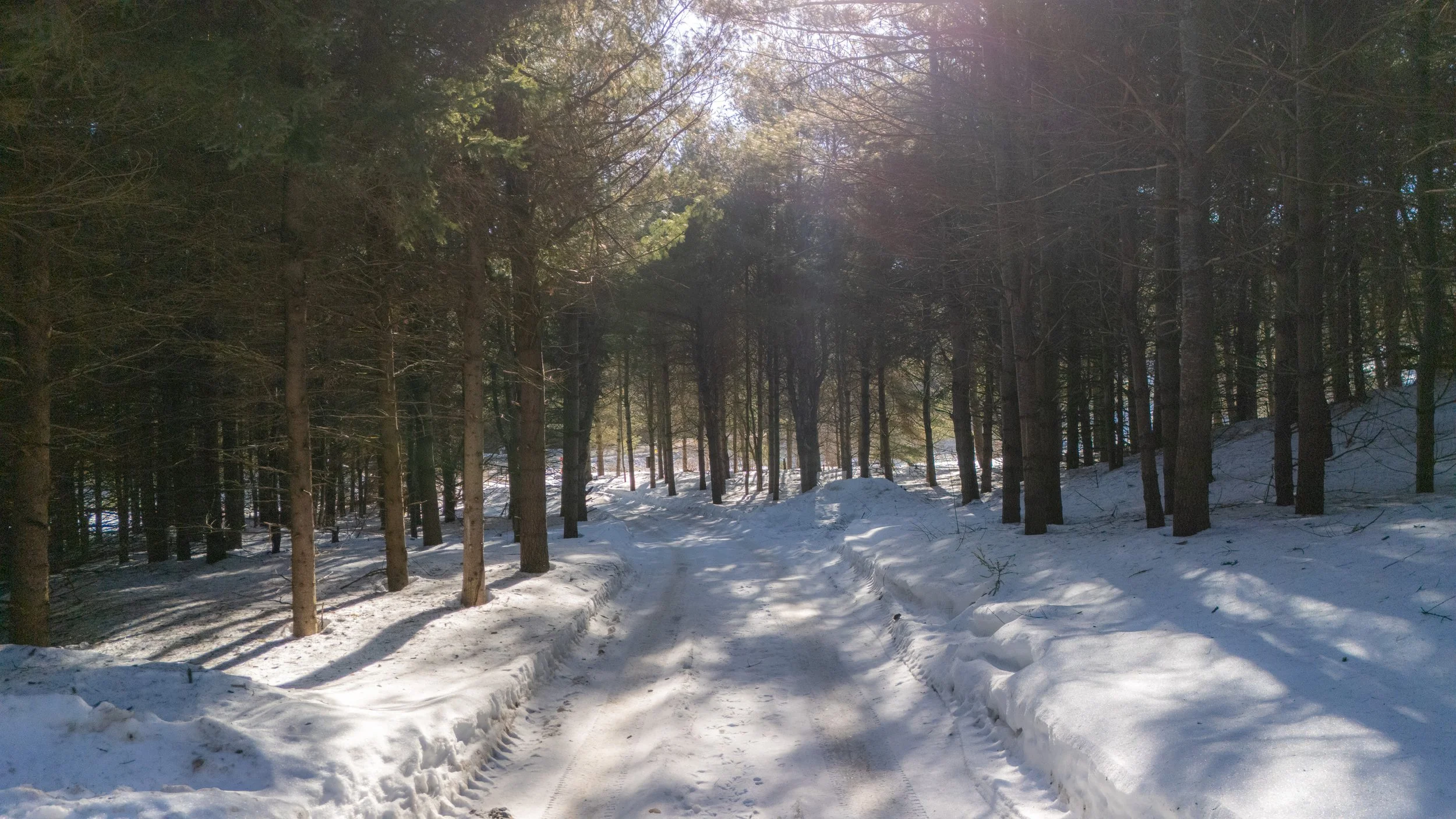 24- 675528 Hurontario ST - Mono - Modern Movement Creative Inc - PHOTOG- Mitch Hubble - March 10, 2025.jpg