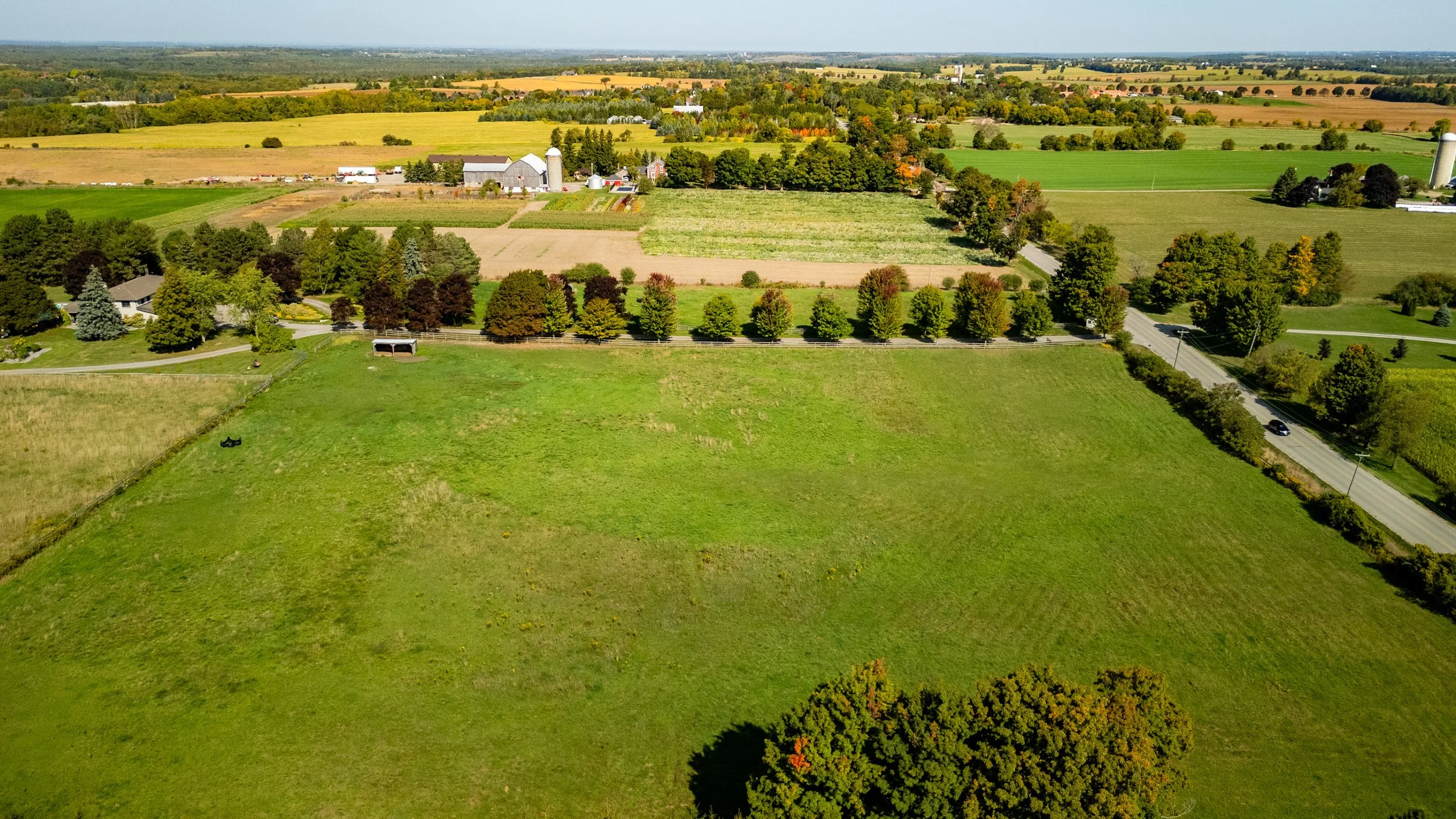 62- 8360 Concession Road - Uxbridge - Modern Movement Creative - PHOTO- Mitch Hubble -September 15, 2025.jpg