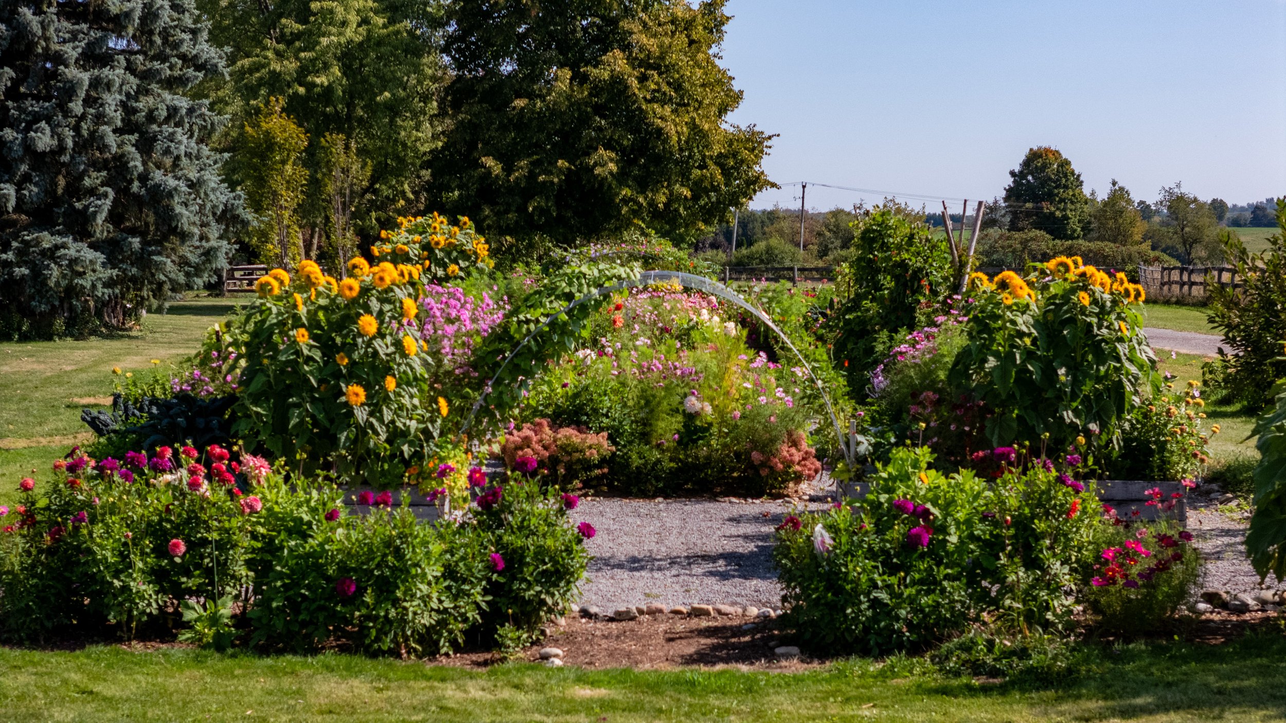 89- 8360 Concession Road - Uxbridge - Modern Movement Creative - PHOTO- Mitch Hubble -September 15, 2025.jpg