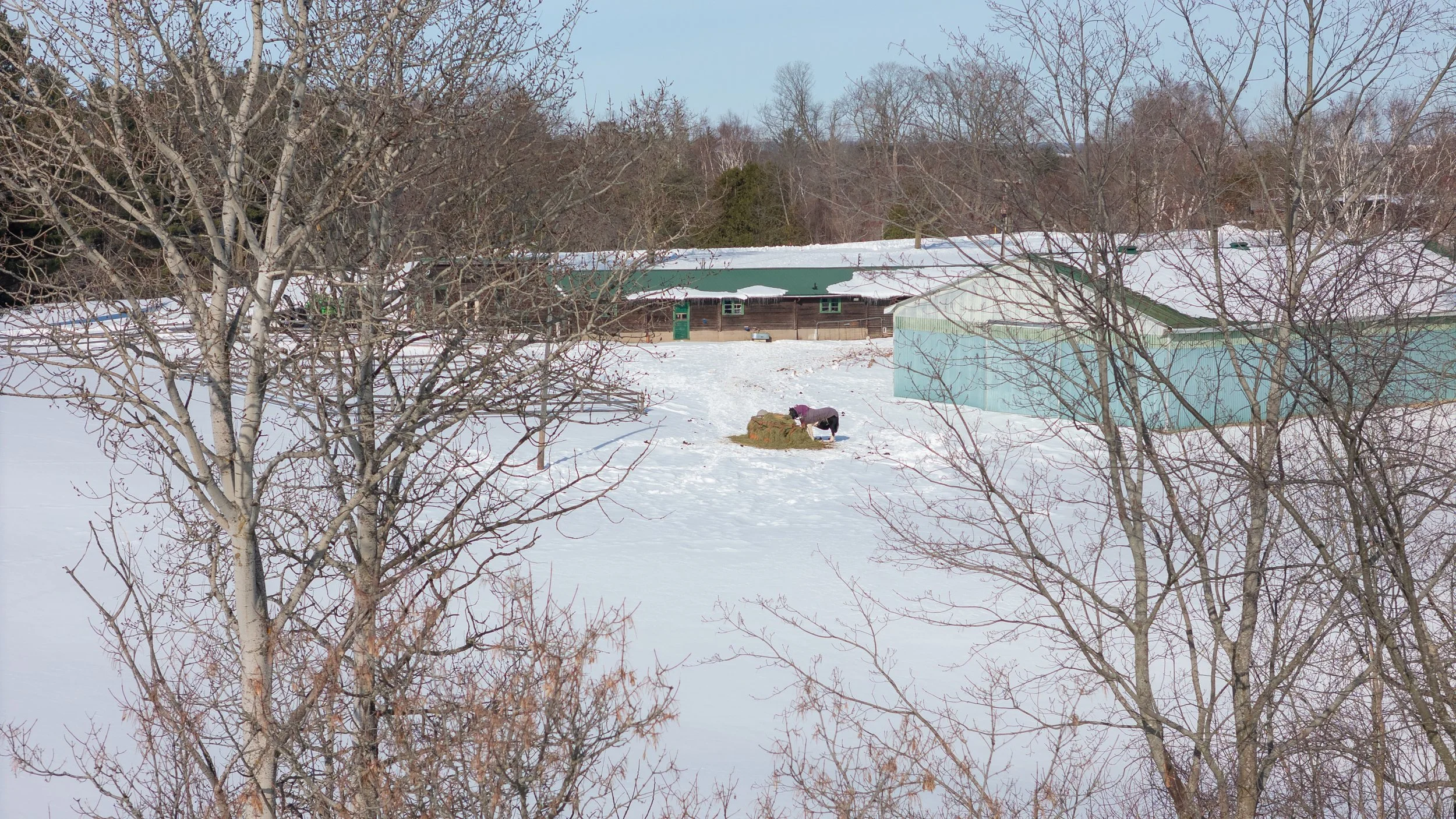 56- 9 Black Court - Aurora - Modern Movement Creative Inc - PHOTOG- Mitch Hubble - February 25, 2026.jpg