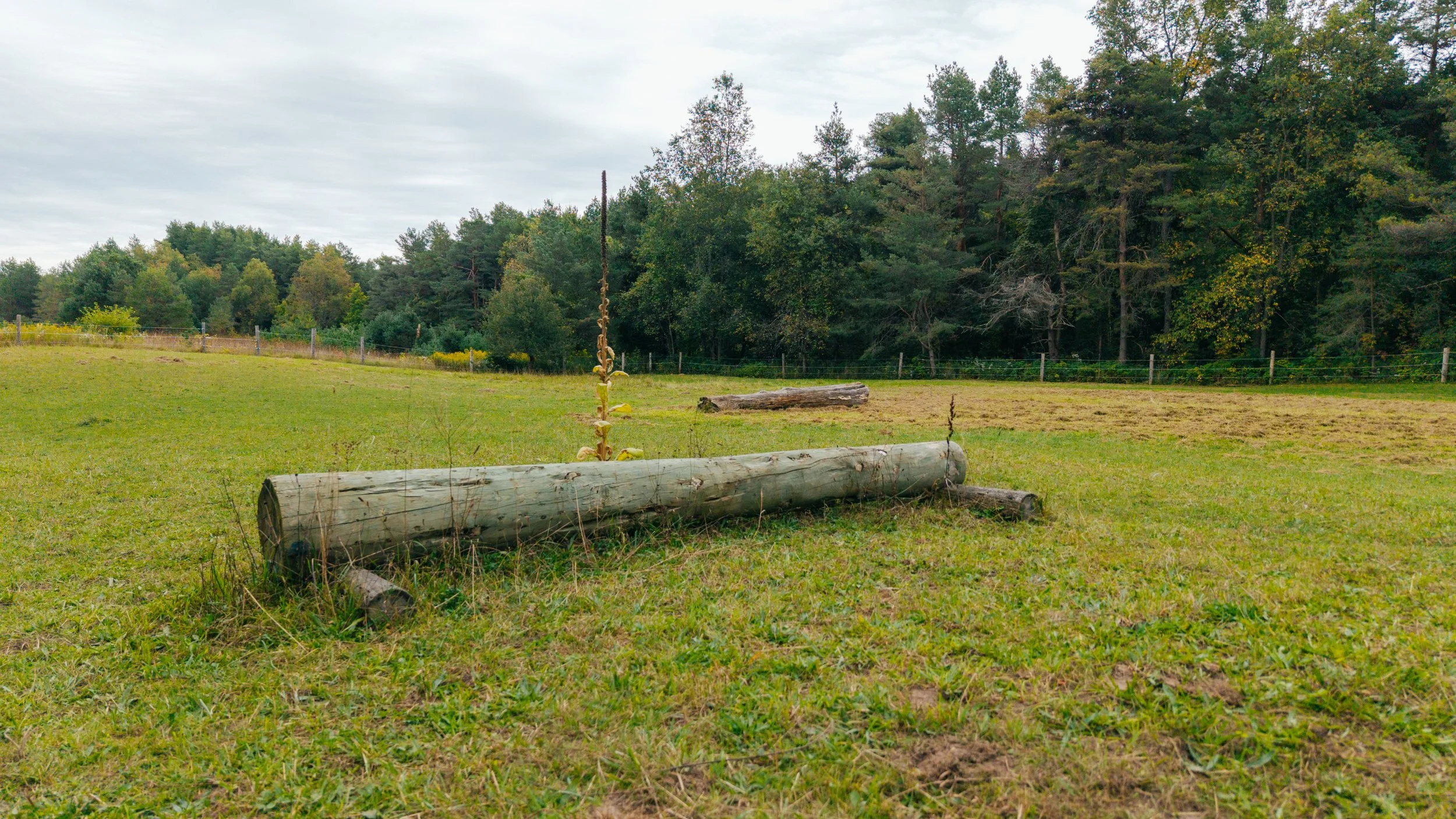 35- 798227 3rd Line East - Mulmur - Modern Movement Creative Inc - PHOTOG- Mitch Hubble - September 17, 2026.jpg