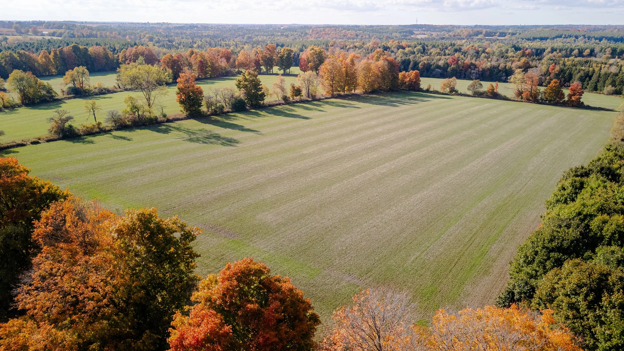 35- 5228 First Line - Erin - Modern Movement Creative - PHOTO- Mitch Hubble -October 15, 2025_.jpg