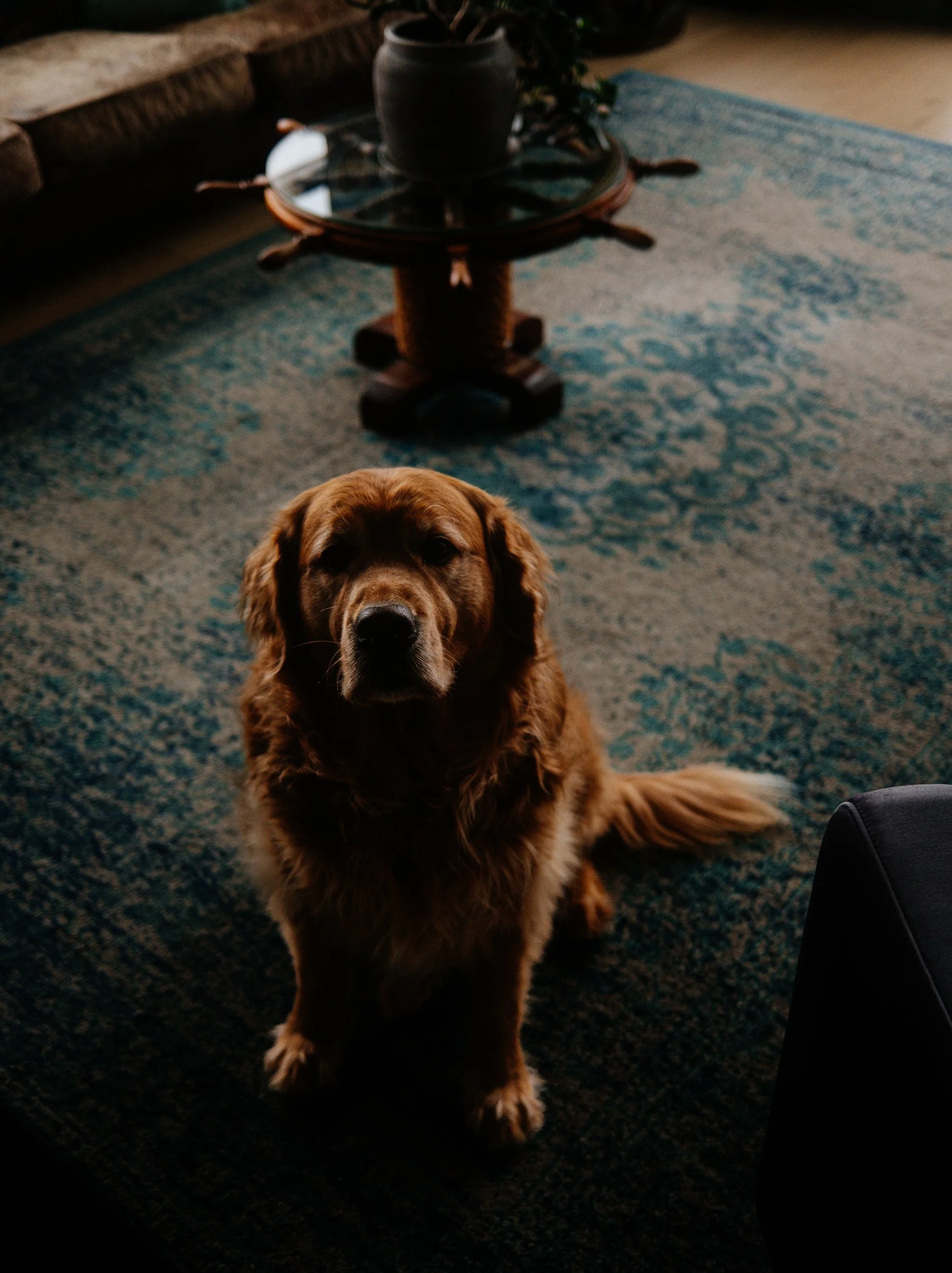 32- 678500 Center Road - Mulmur - Carolyn Scime - Modern Movement Creative - PHOTO- Mitch Hubble -February 11, 2026.jpg