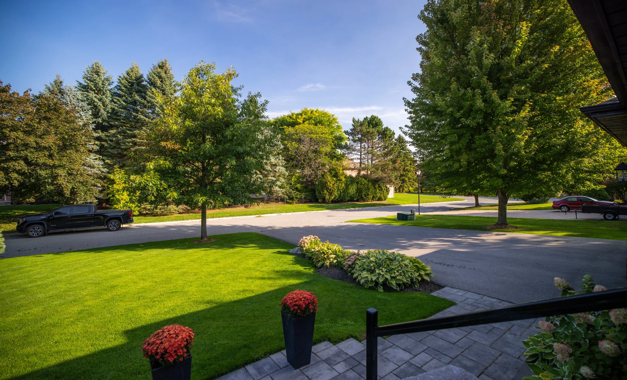 2- 55 Parnham - Sharon - Modern Movement Creative - PHOTO- Mitch Hubble -September 15, 2025.jpg