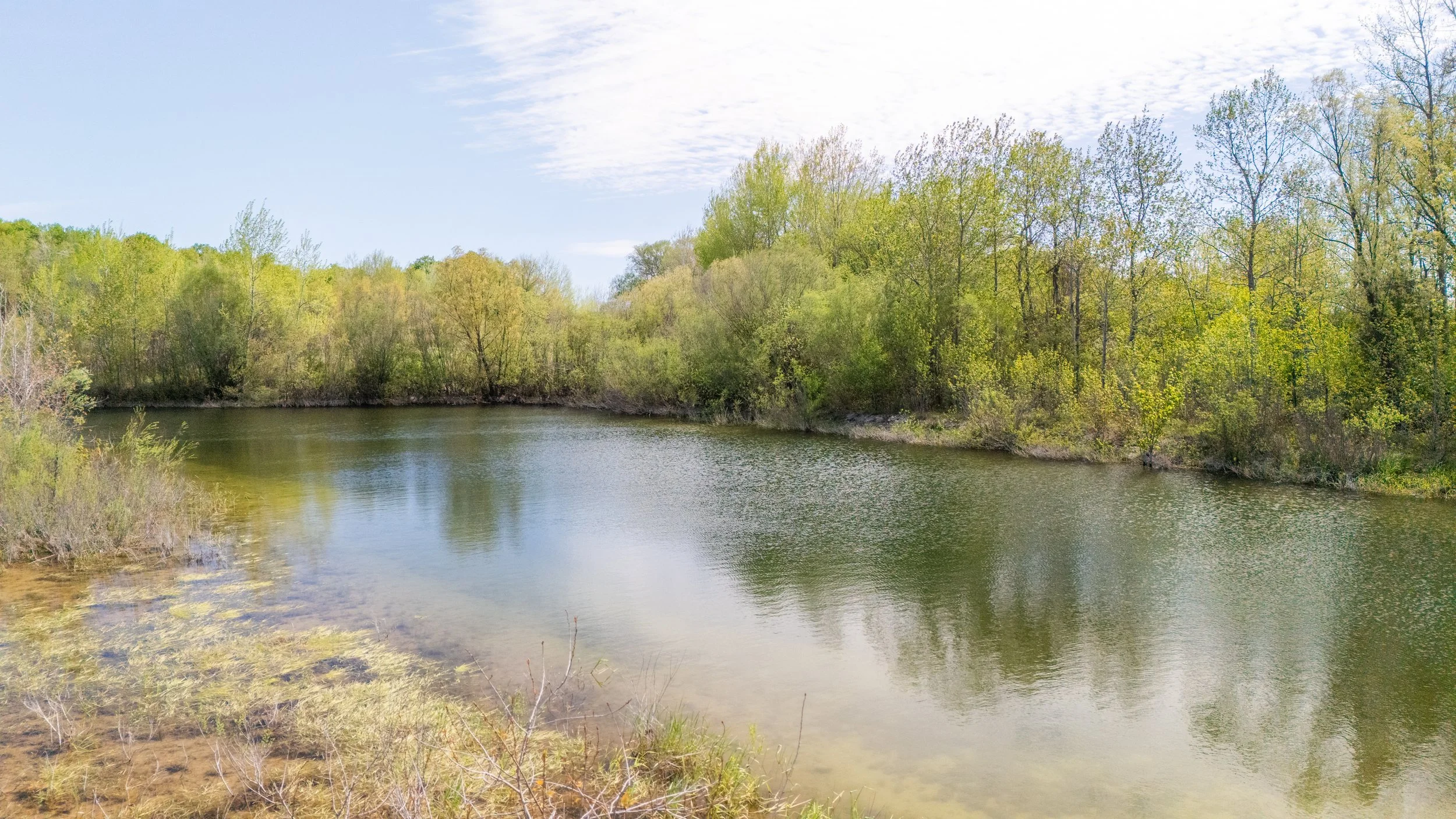 43-  7256 County Road 18 - Elora - Modern Movement Creative Inc - PHOTOG- Mitch Hubble - May 20, 2026.jpg