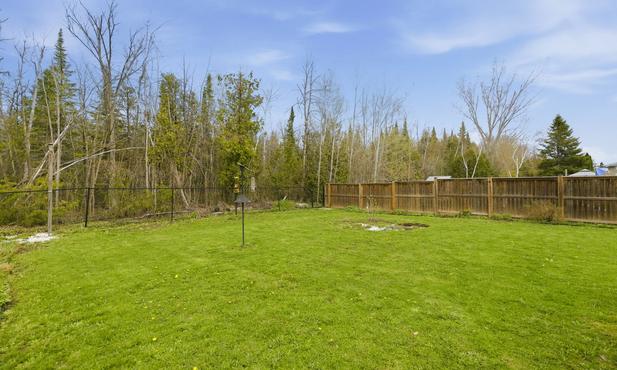 12- 788 Rose Lane - Innisfil - Modern Movement Creative Inc - PHOTOG- Mitch Hubble - May 07, 2026.jpg