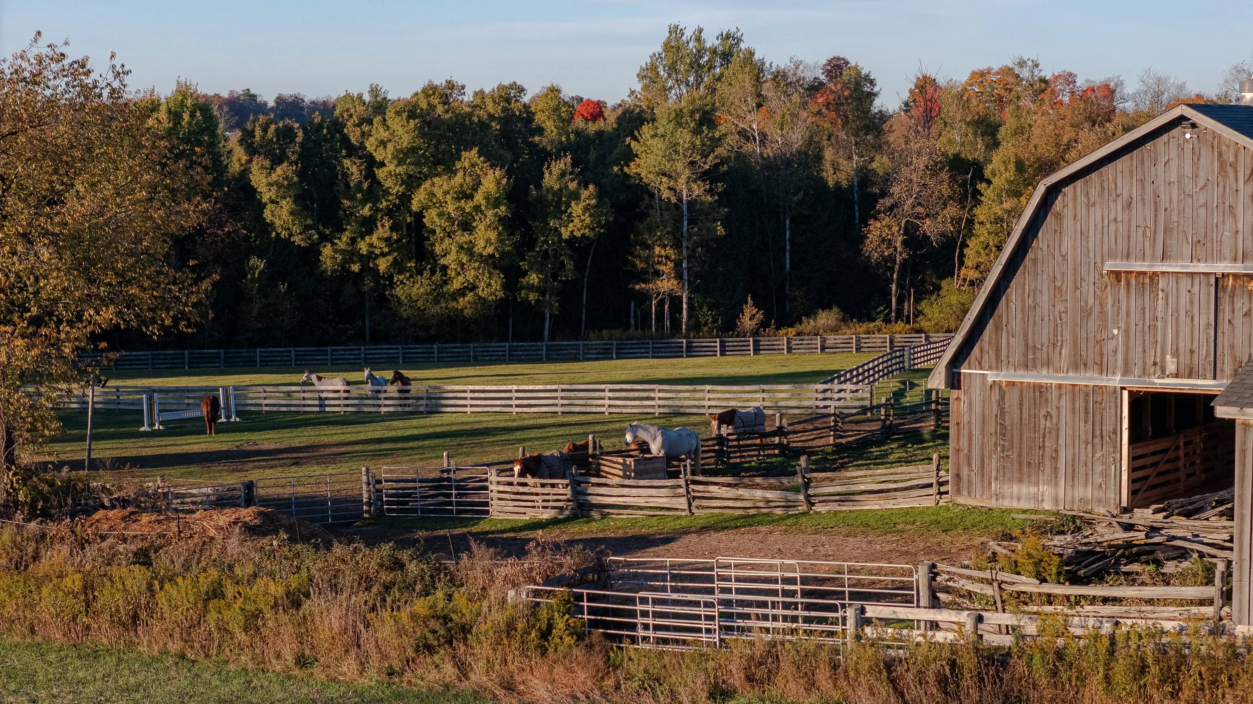 103- 5228 First Line - Erin - Modern Movement Creative - PHOTO- Mitch Hubble -October 15, 2025_.jpg