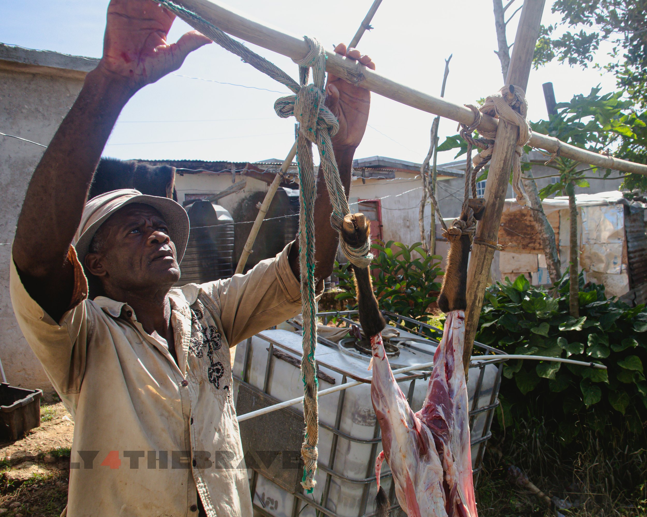 cutmeat_jamaicatrip_2022-9106.jpg