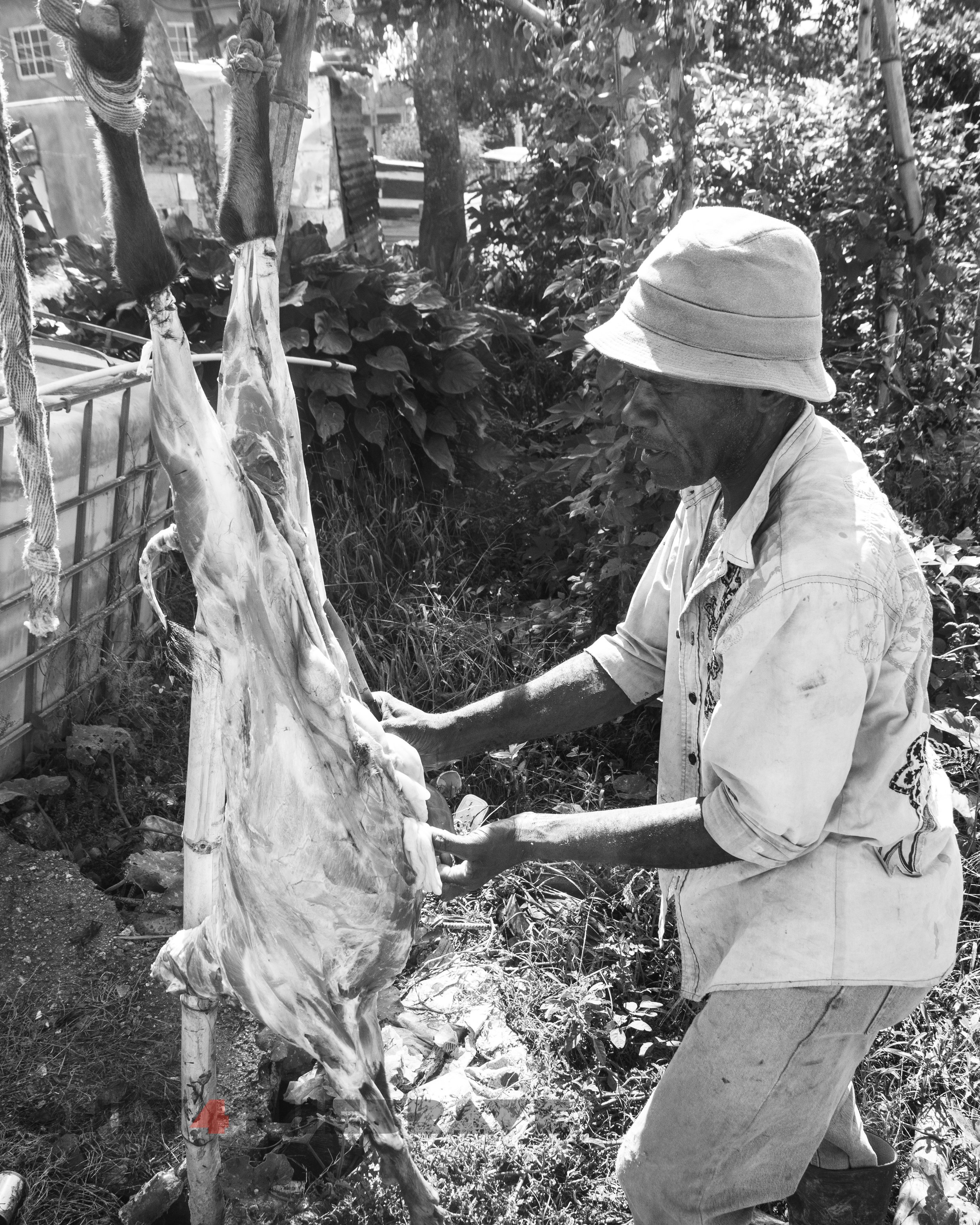 oldschooltech_jamaicatrip_2022-9092.jpg