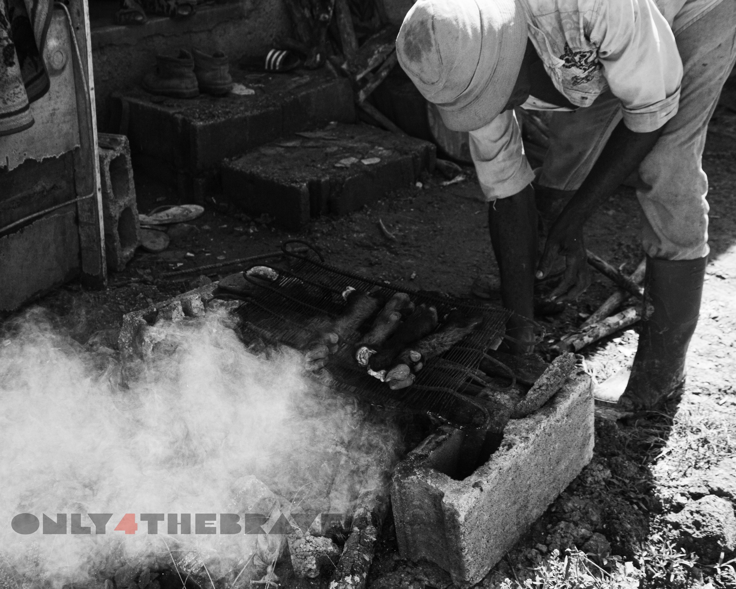 smoked_jamaicatrip_2022-9117.jpg