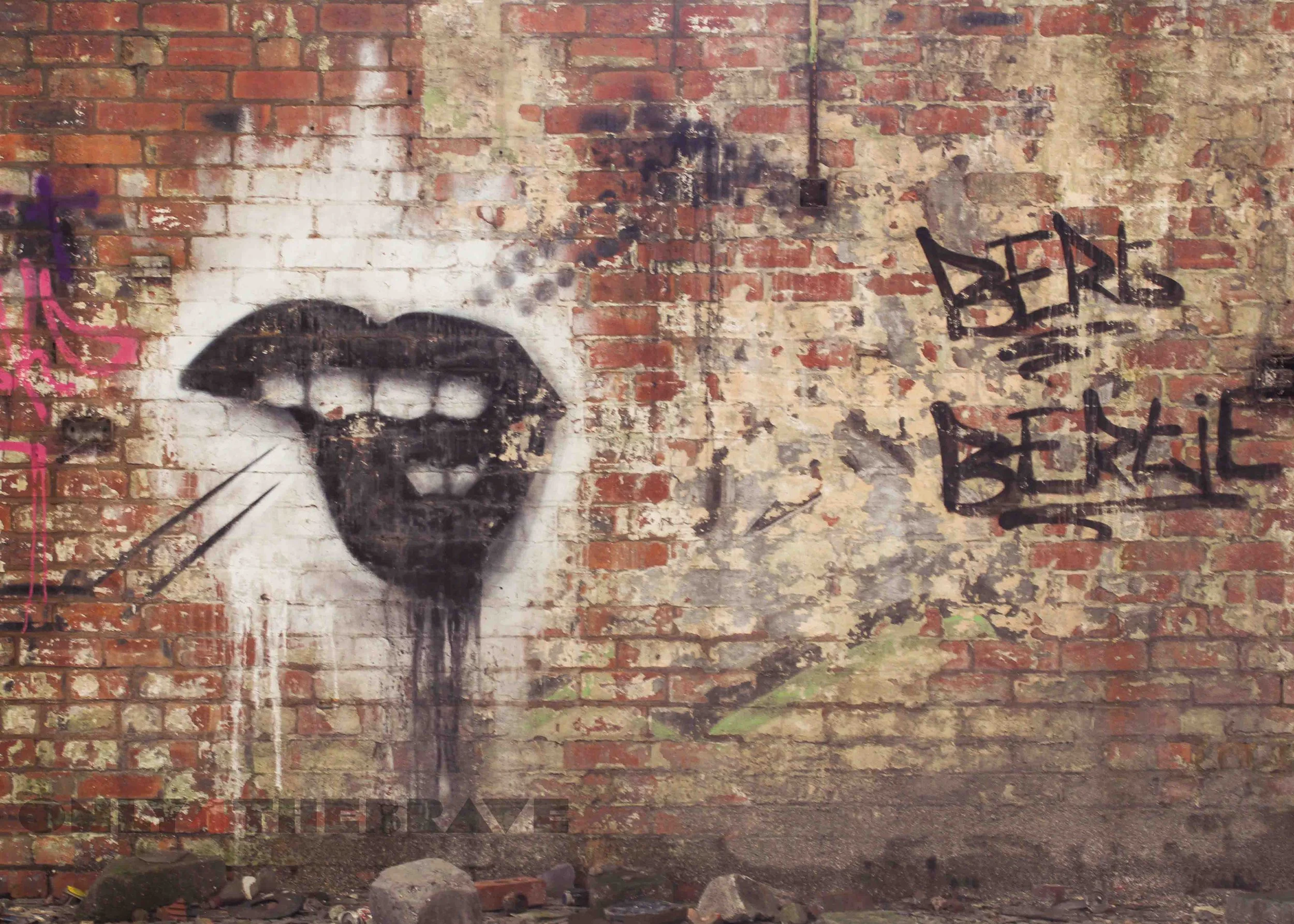 Graffiti art on a brick wall depicting stylized lips and teeth, alongside the words "BERG" and "BERGIE" in black spray paint.
