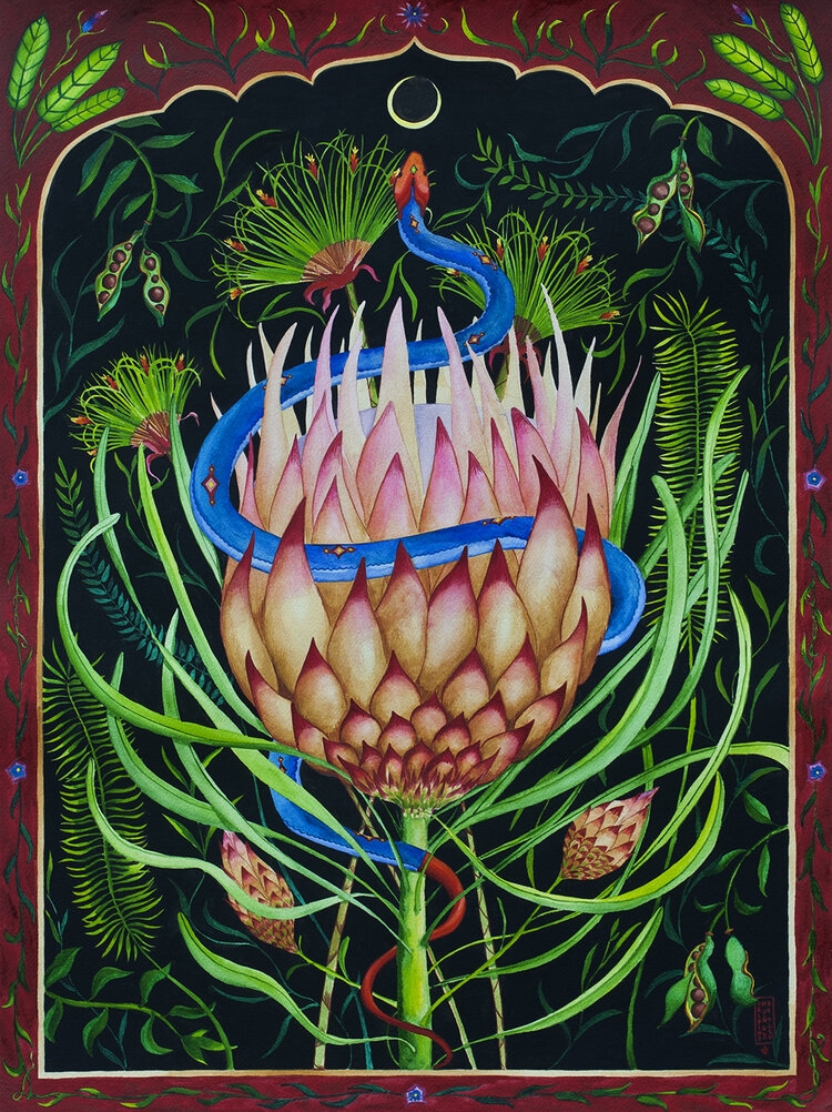 Delfina Muñoz de Toro,  Vimi Yuve (Fruit of the Serpent) , 2019. Watercolour on paper, 61 x 45.5 cm. Credit: courtesy the artist