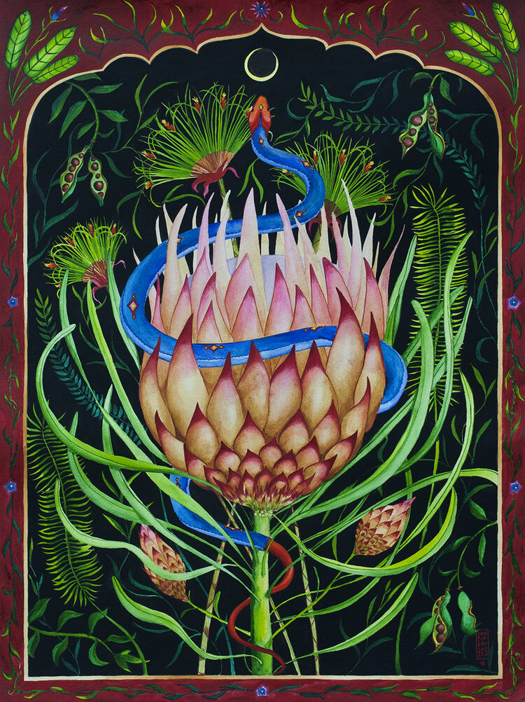 Delfina Muñoz de Toro, Vimi Yuve (Fruit of the Serpent) , 2019. Watercolour on paper, 61 x 45.5 cm. Credit: courtesy the artist