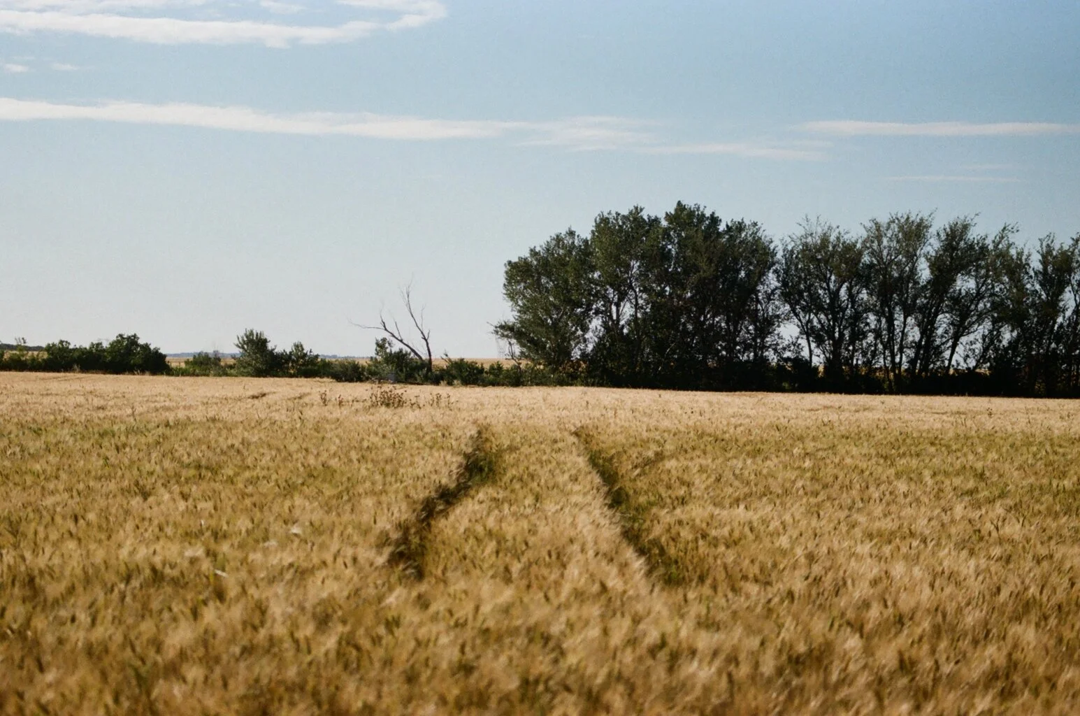 35mm Film. San Severro, Italy. Pentax 1980s. San Severro. Kodak Pro Image 100.