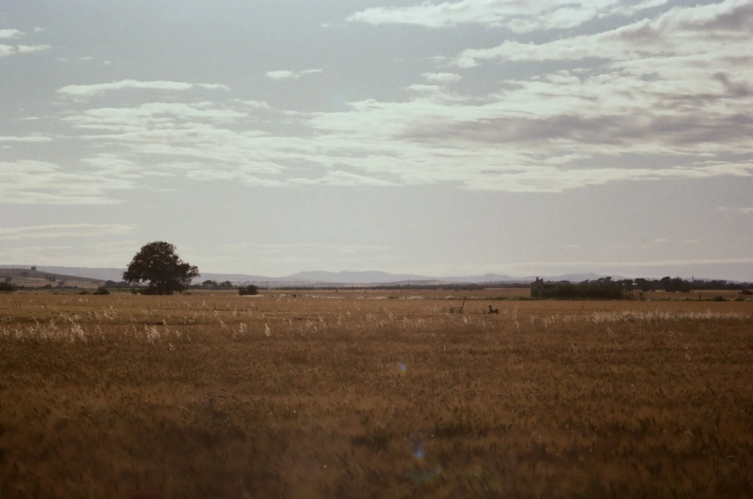 35mm Film. San Severro, Italy. Pentax 1980s. San Severro. Kodak Pro Image 100.