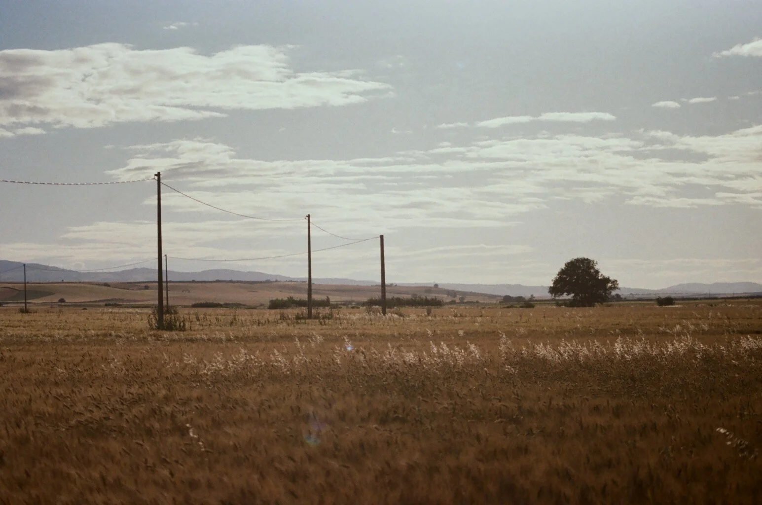 35mm Film. San Severro, Italy. Pentax 1980s. San Severro. Kodak Pro Image 100.