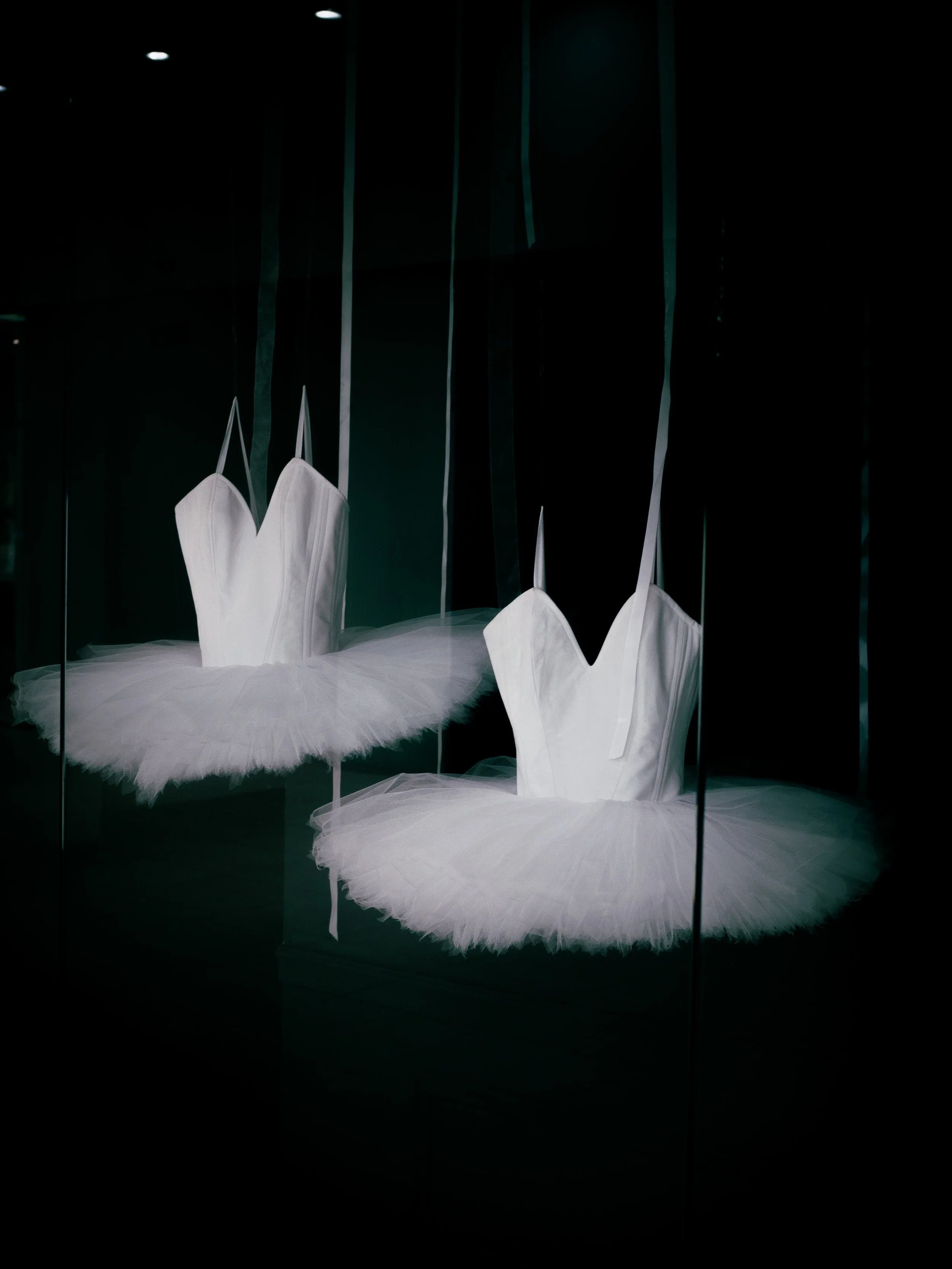 Silver Swans, Adult Ballet and a Trip to London
